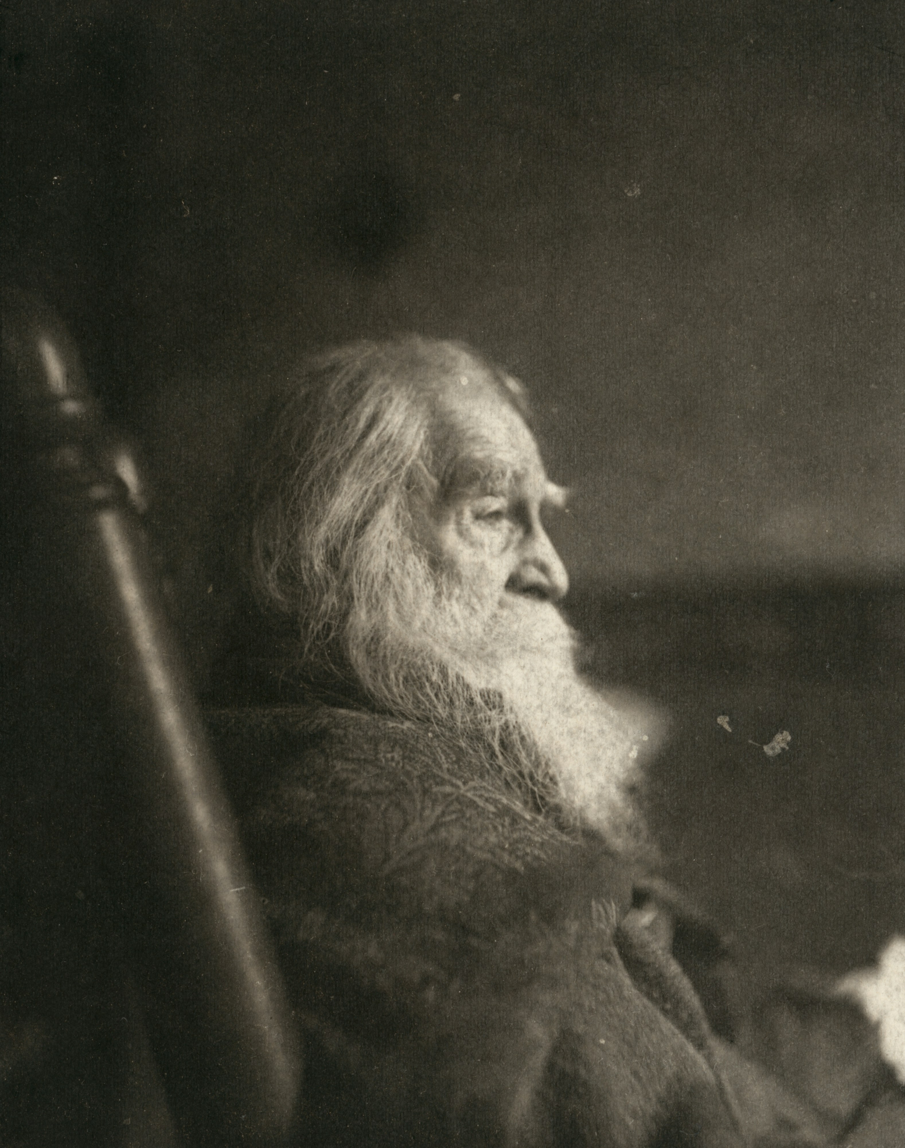 Photo by smithsonian