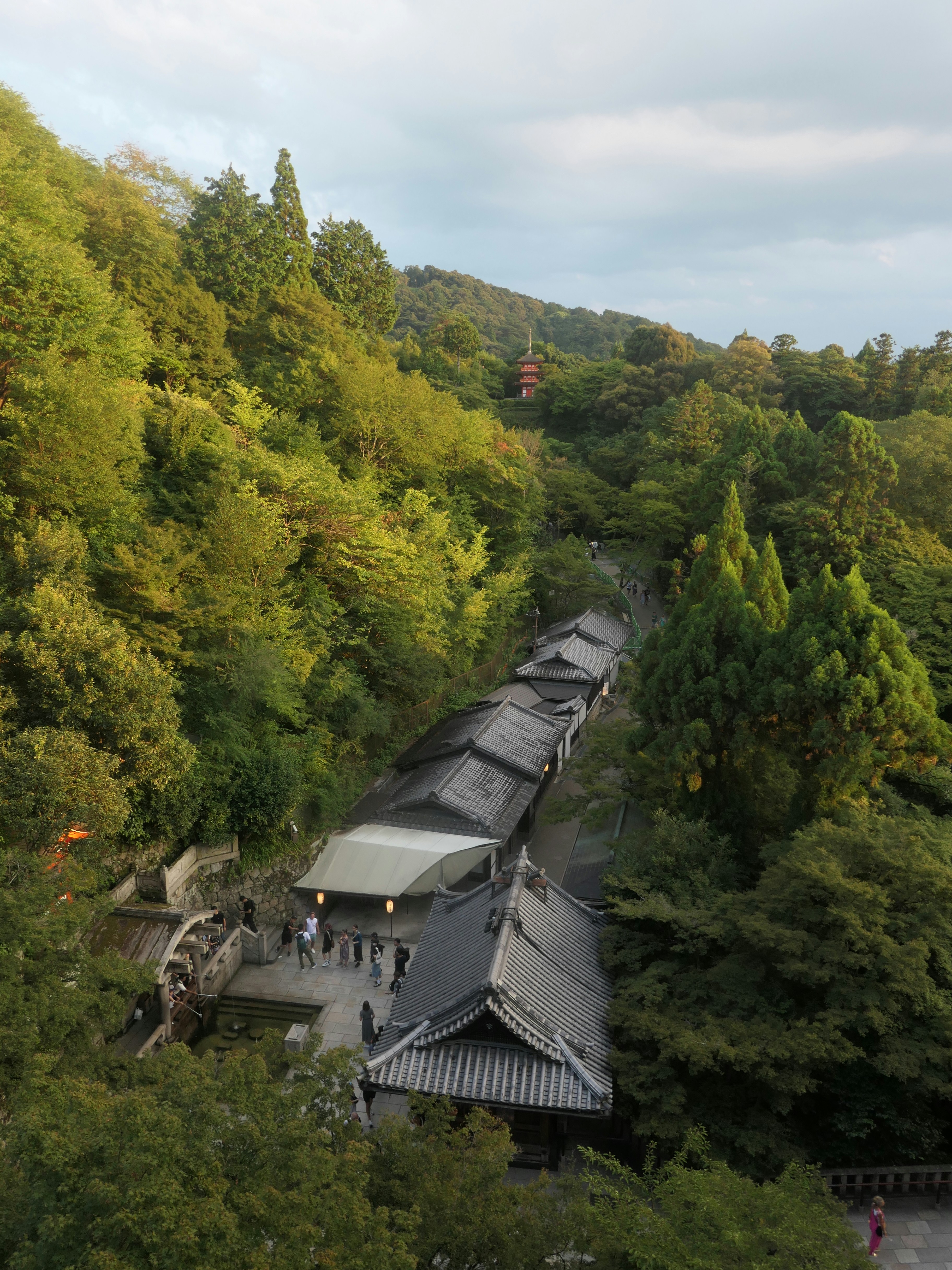 A hillside temple complex winds through dense autumn foliage, with traditional rooftops receding into the distance along a narrow stone-bordered path.