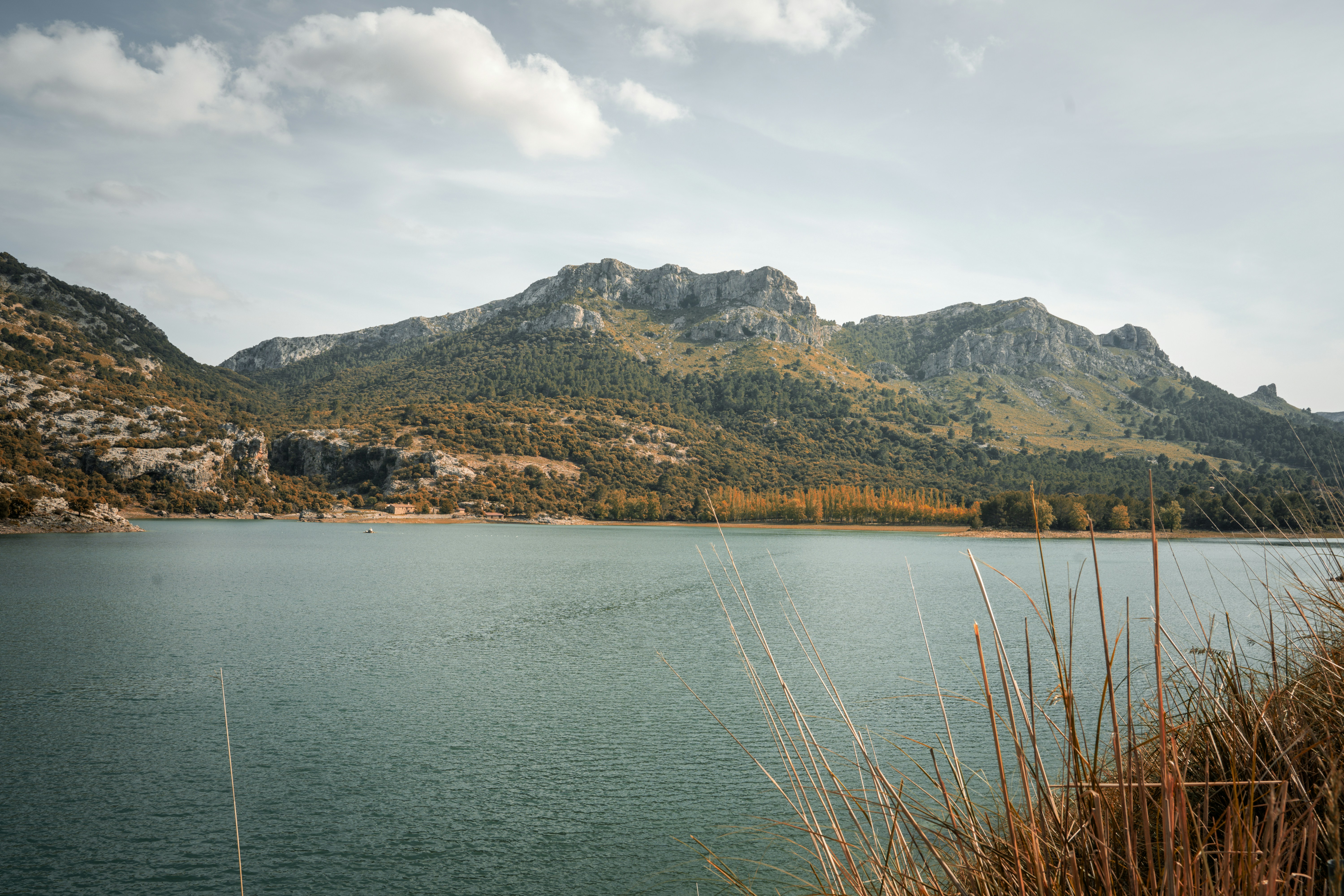 Photo by lucasklein