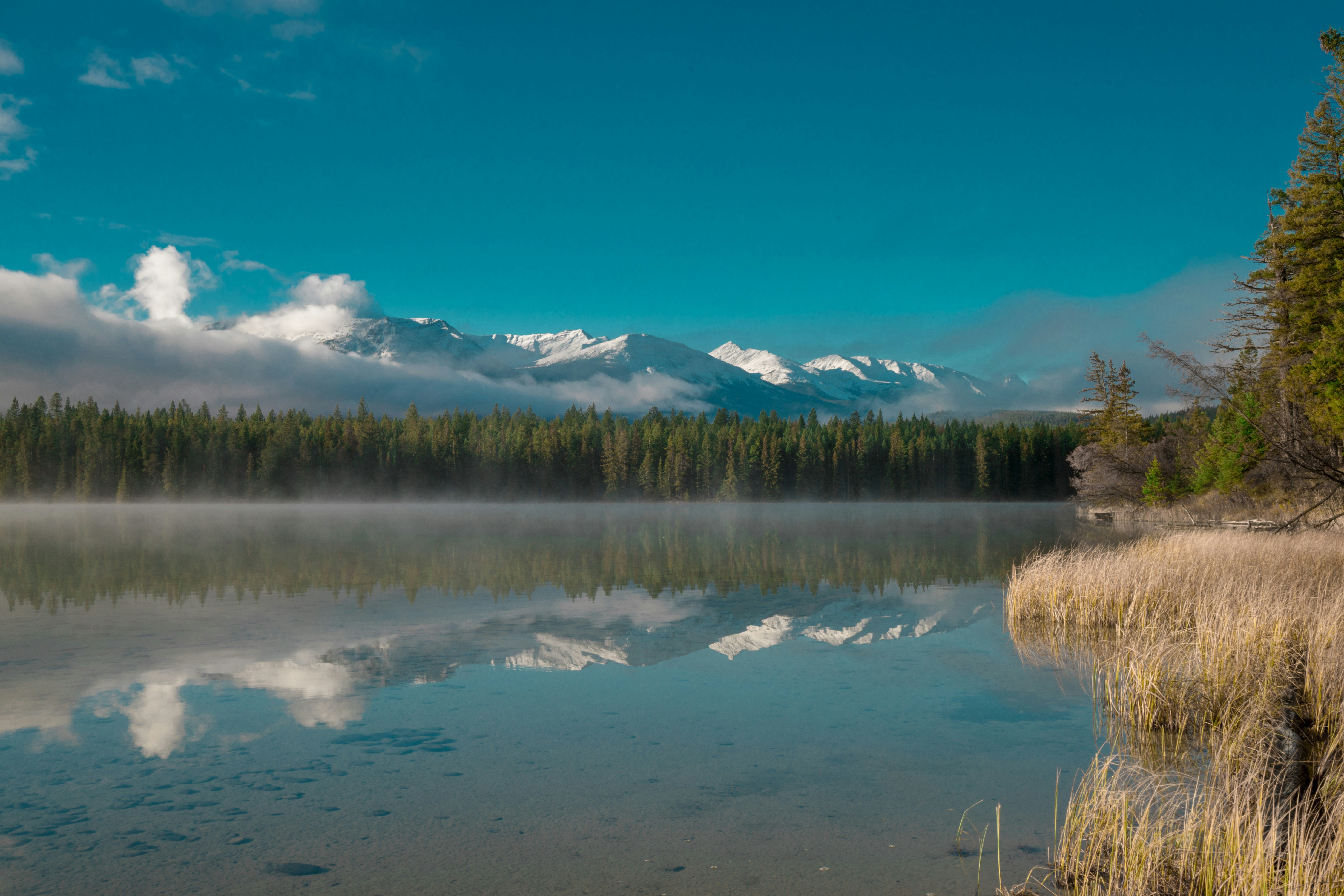 Photo by scottagoodwill