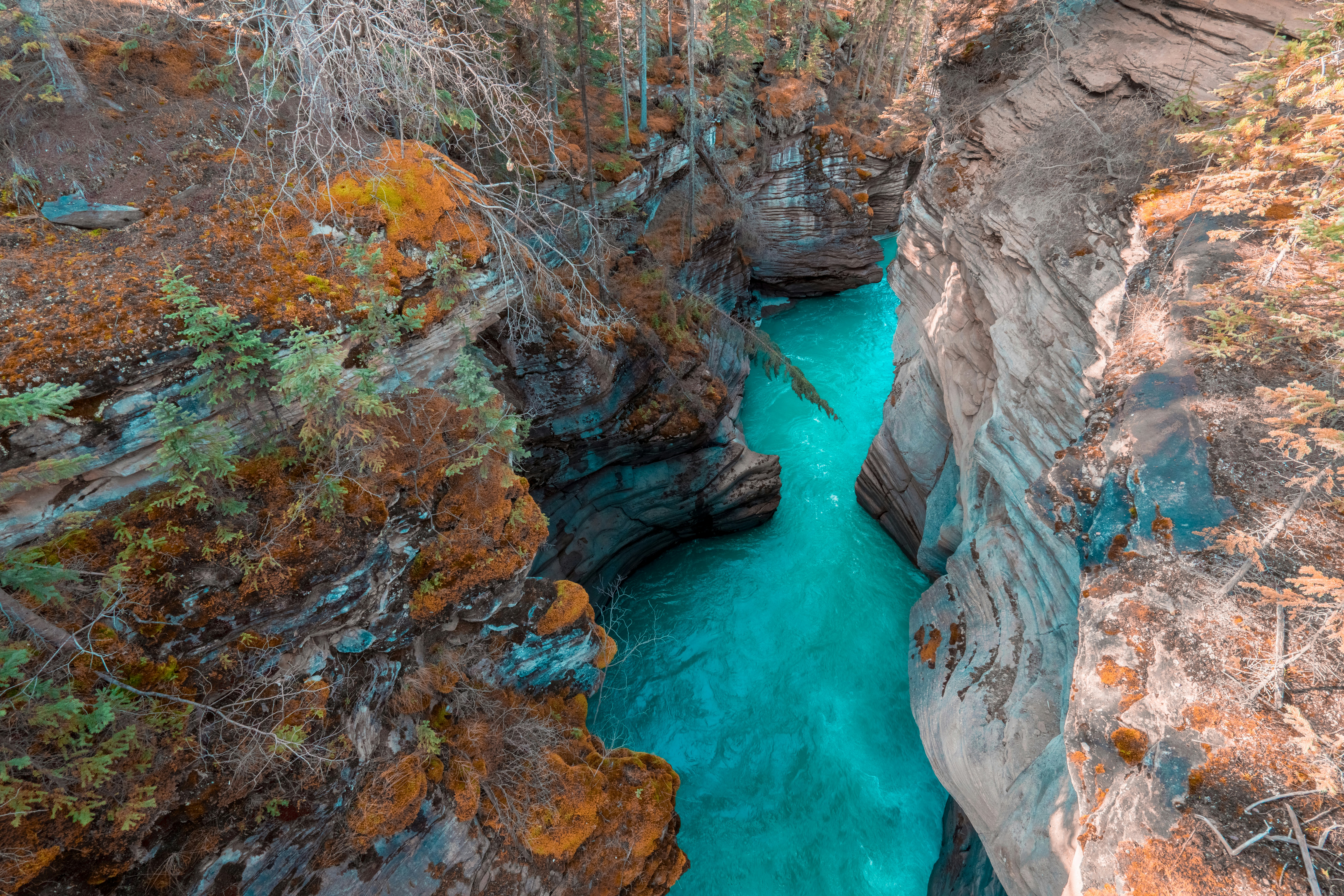 Um vibrante rio turquesa atravessa um cânion rochoso e profundo.