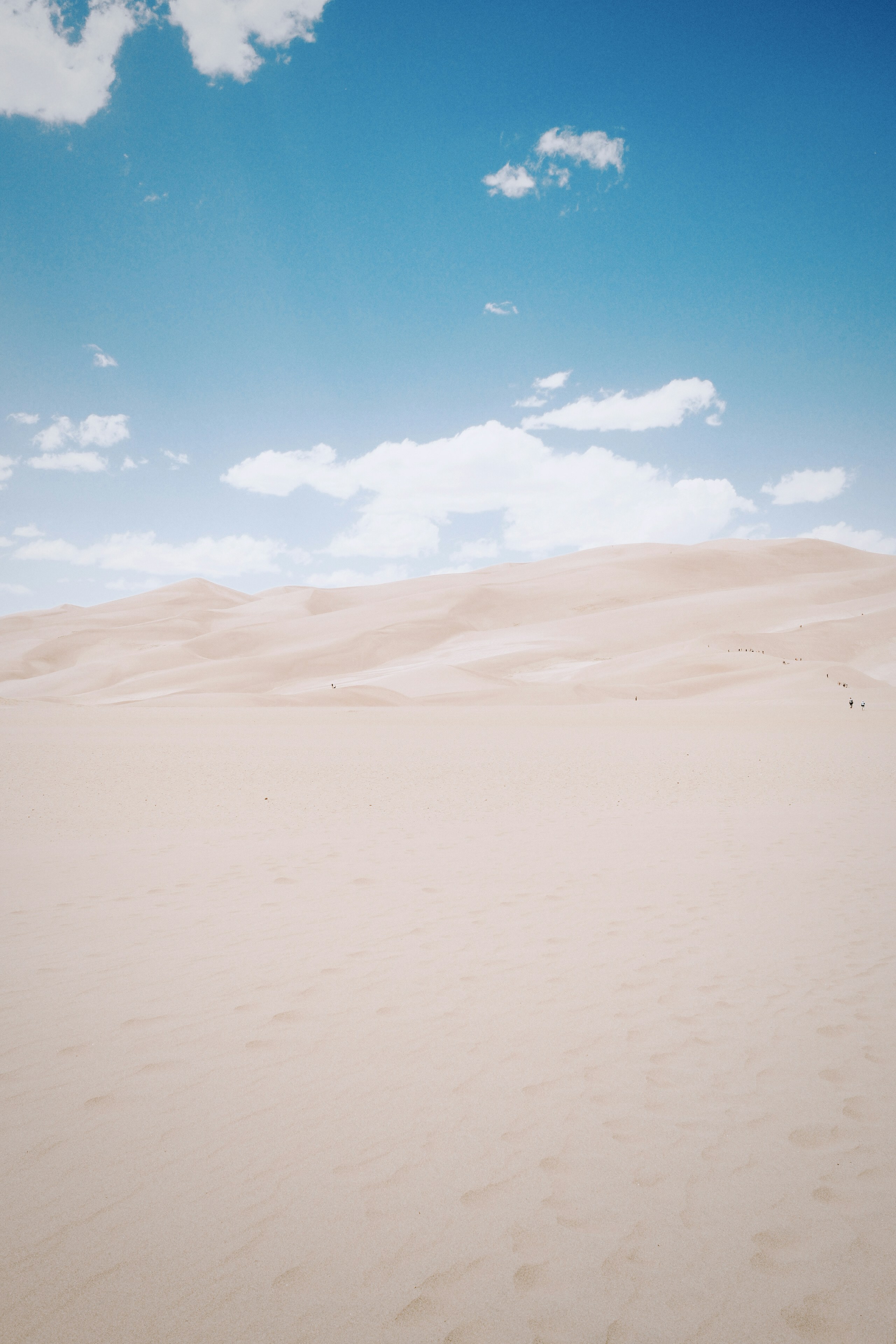 Photo by lgnwvr