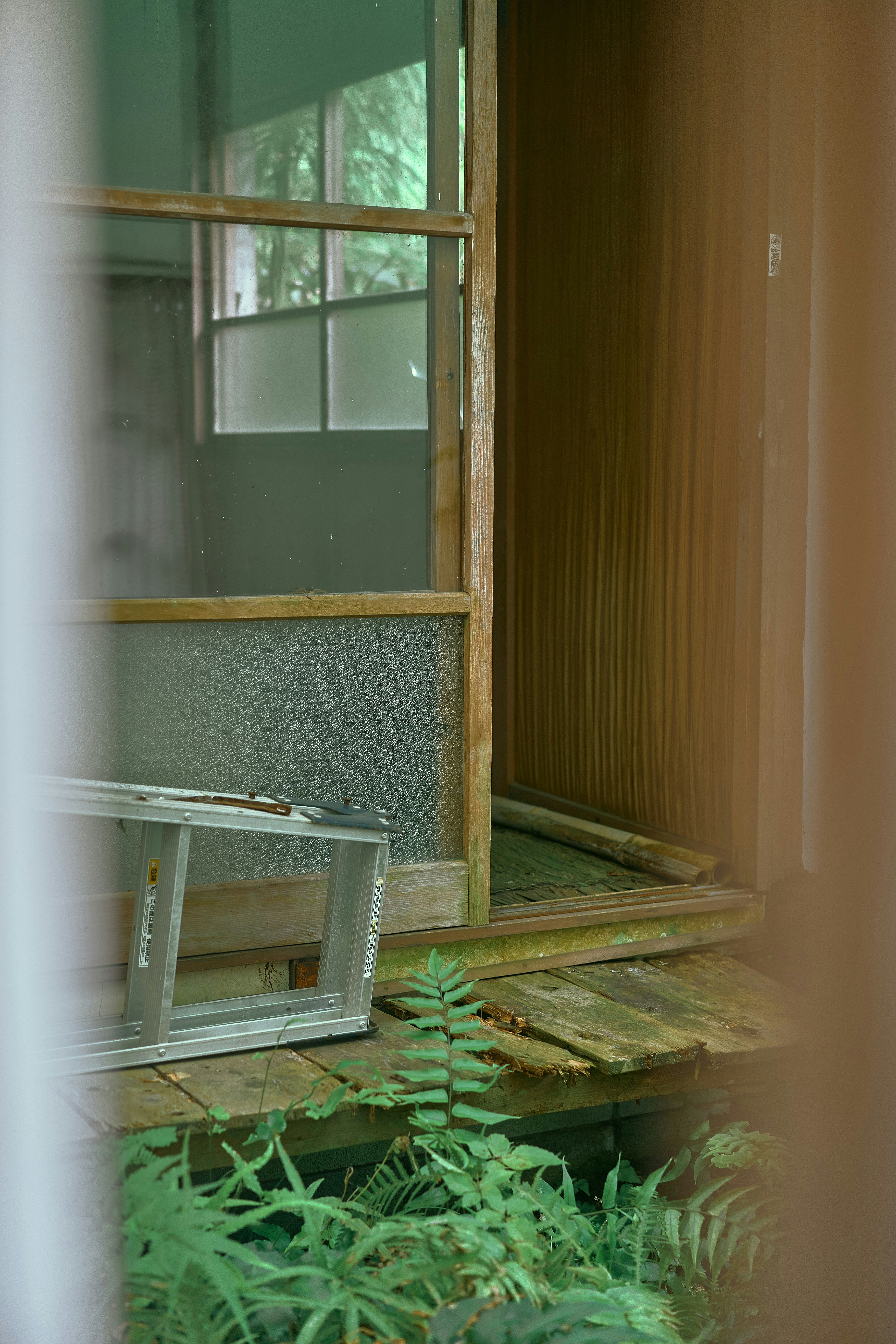 Rustic wooden porch with a broken screen door and ladder in Kamakura