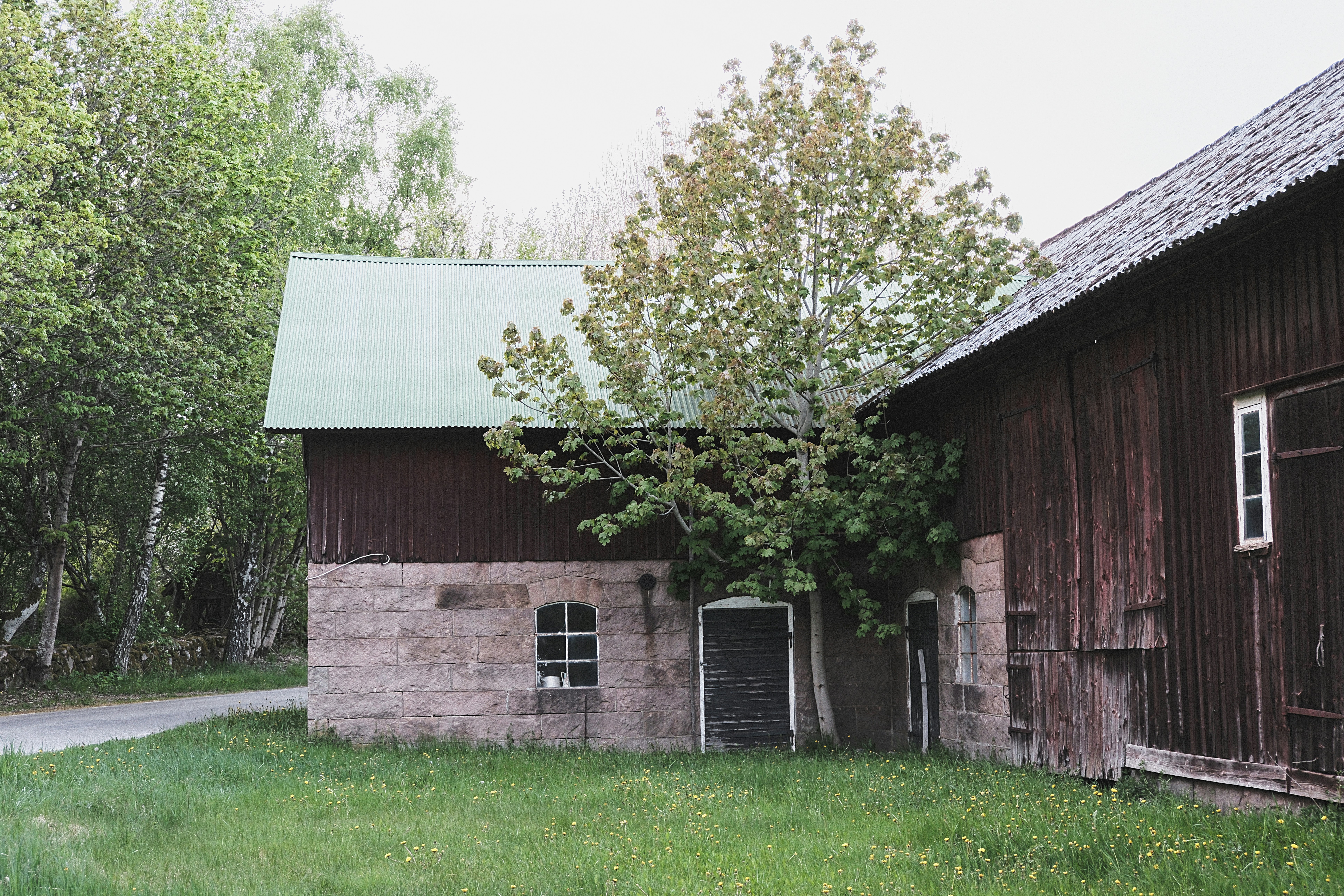 Photo by magnusjonasson
