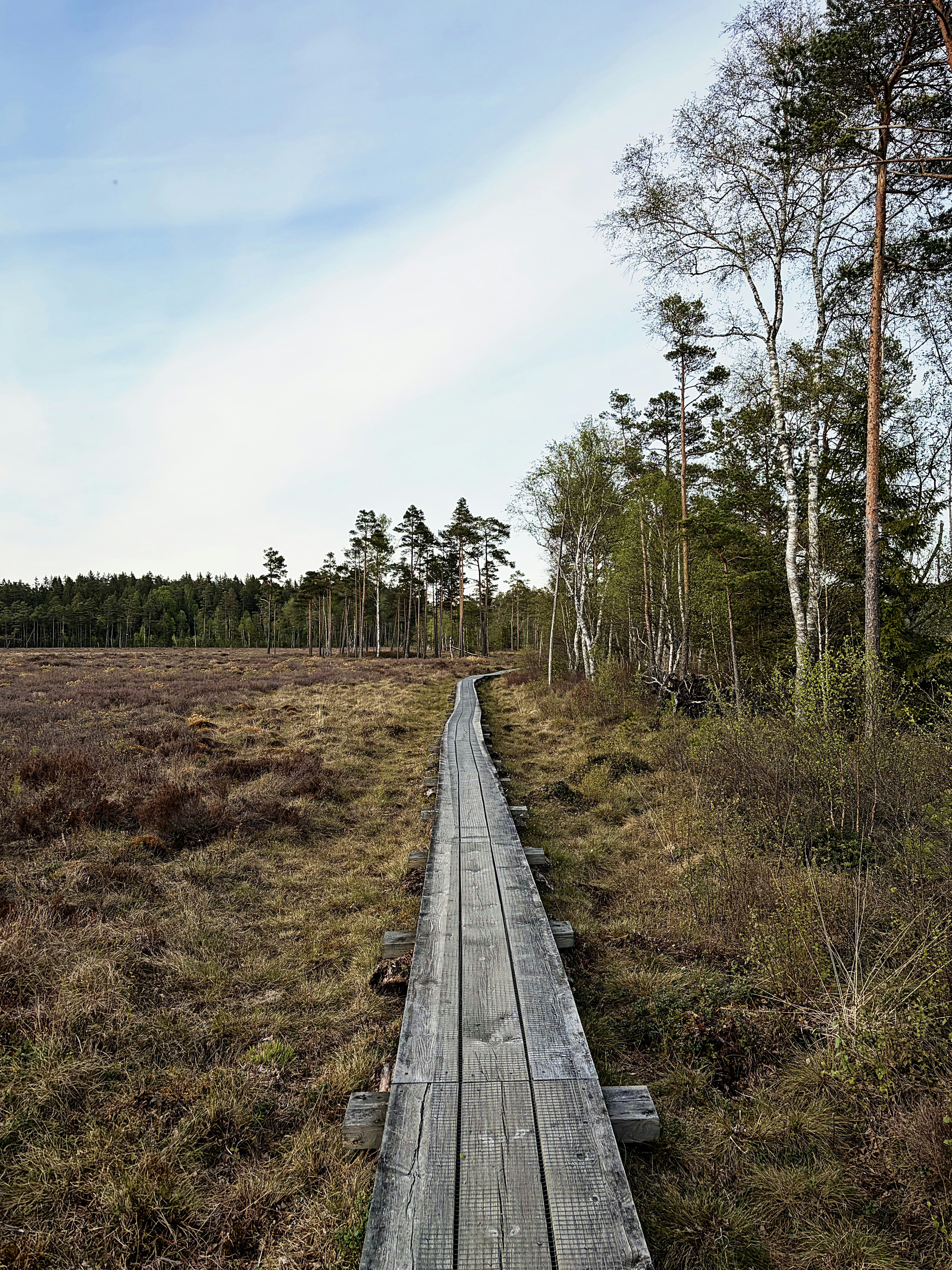 Photo by magnusjonasson