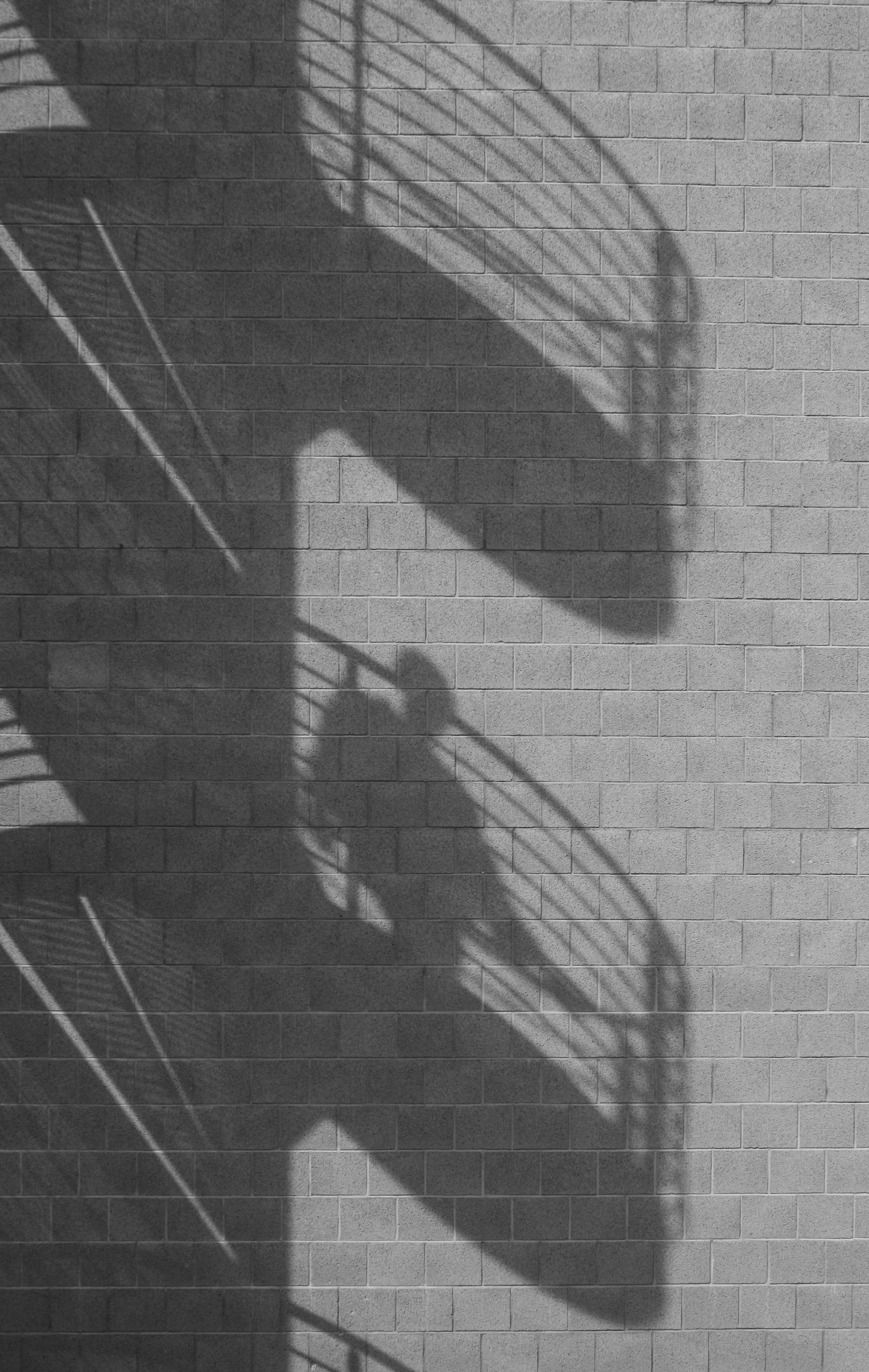 Photo by timaltmann