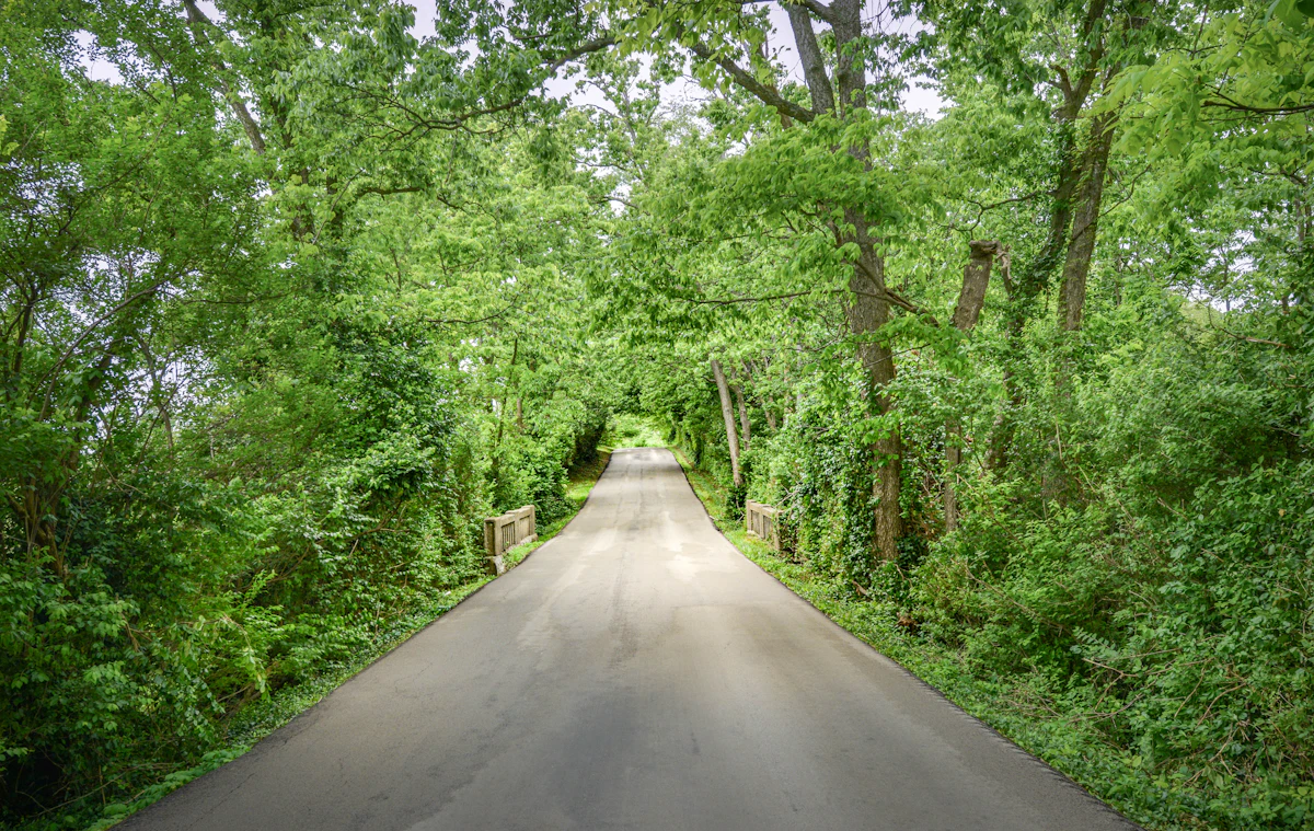 Chevy Chase / Ashland Park