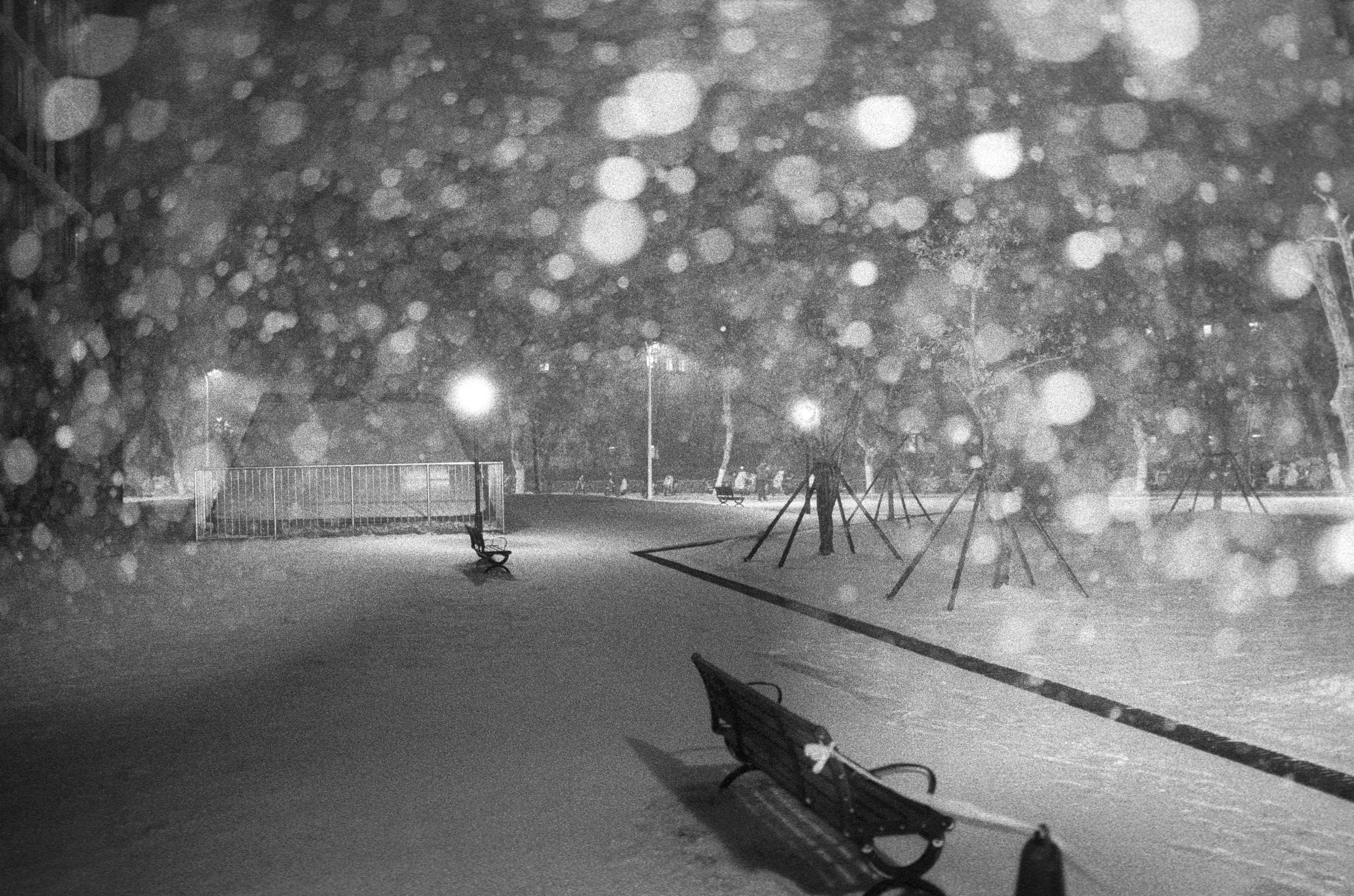 Heavy snow falling in a park at night.