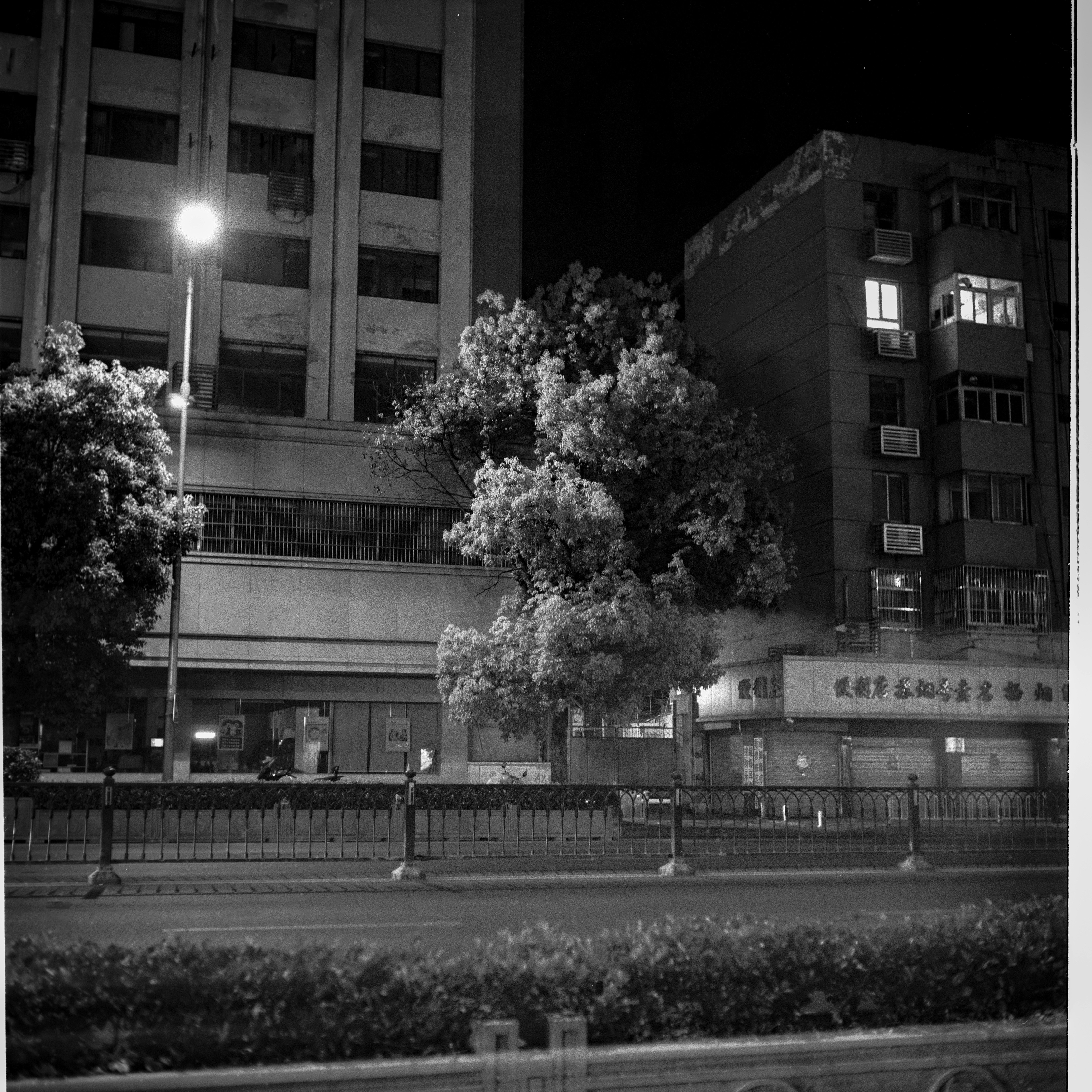 Grayscale night scene with buildings, street light, and trees.