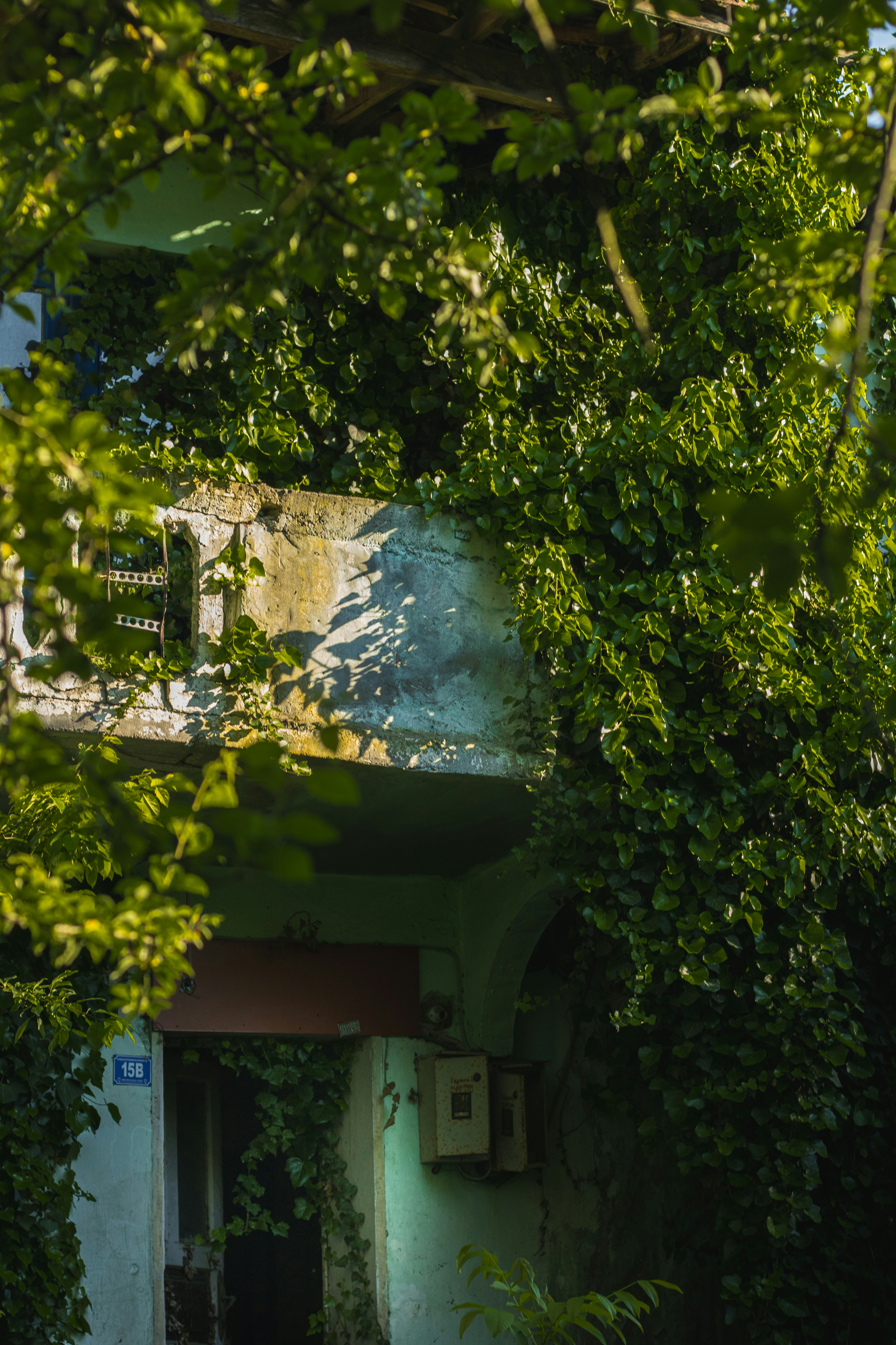 Photo by m5avci
