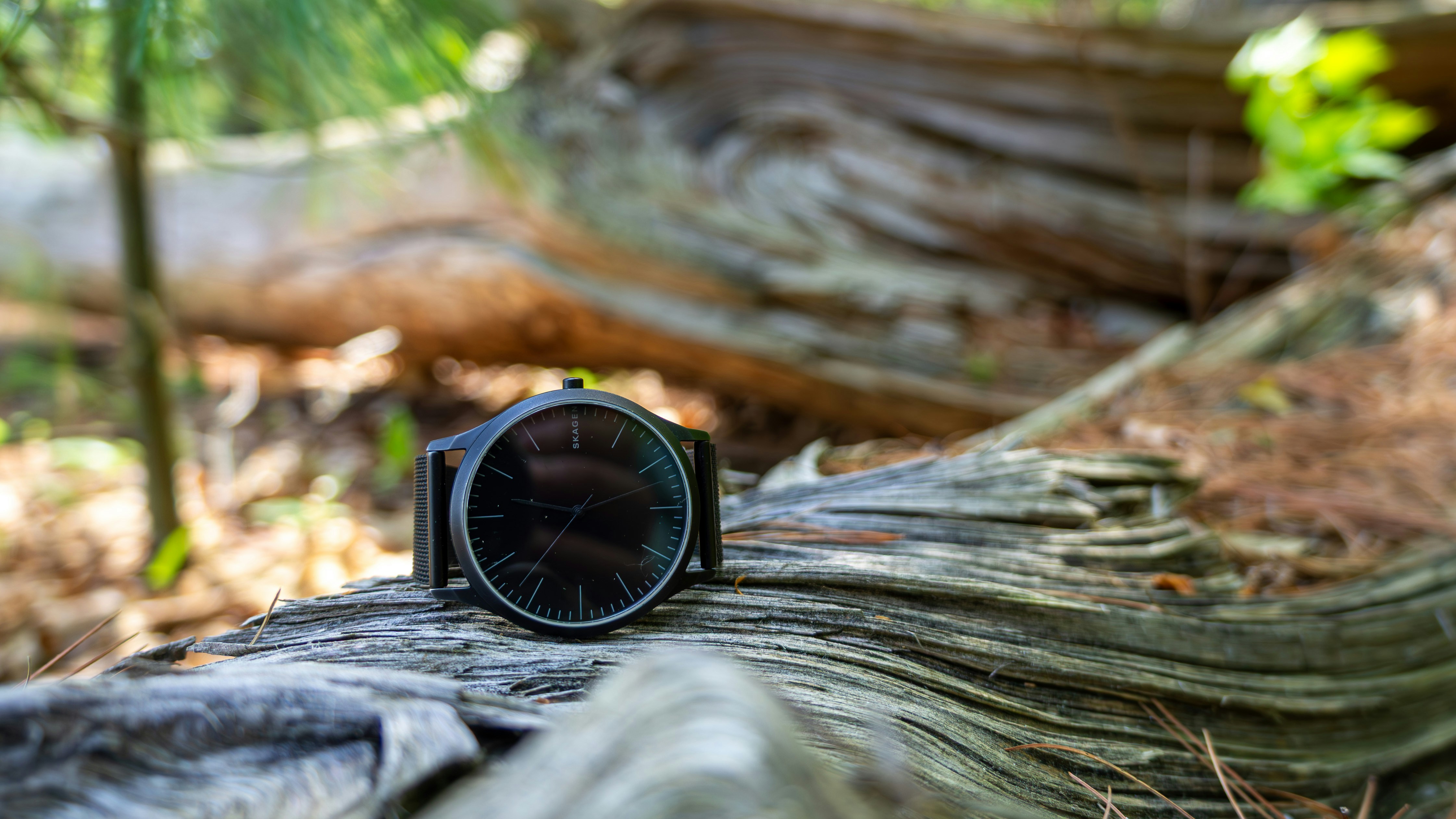 Minimalist Watch