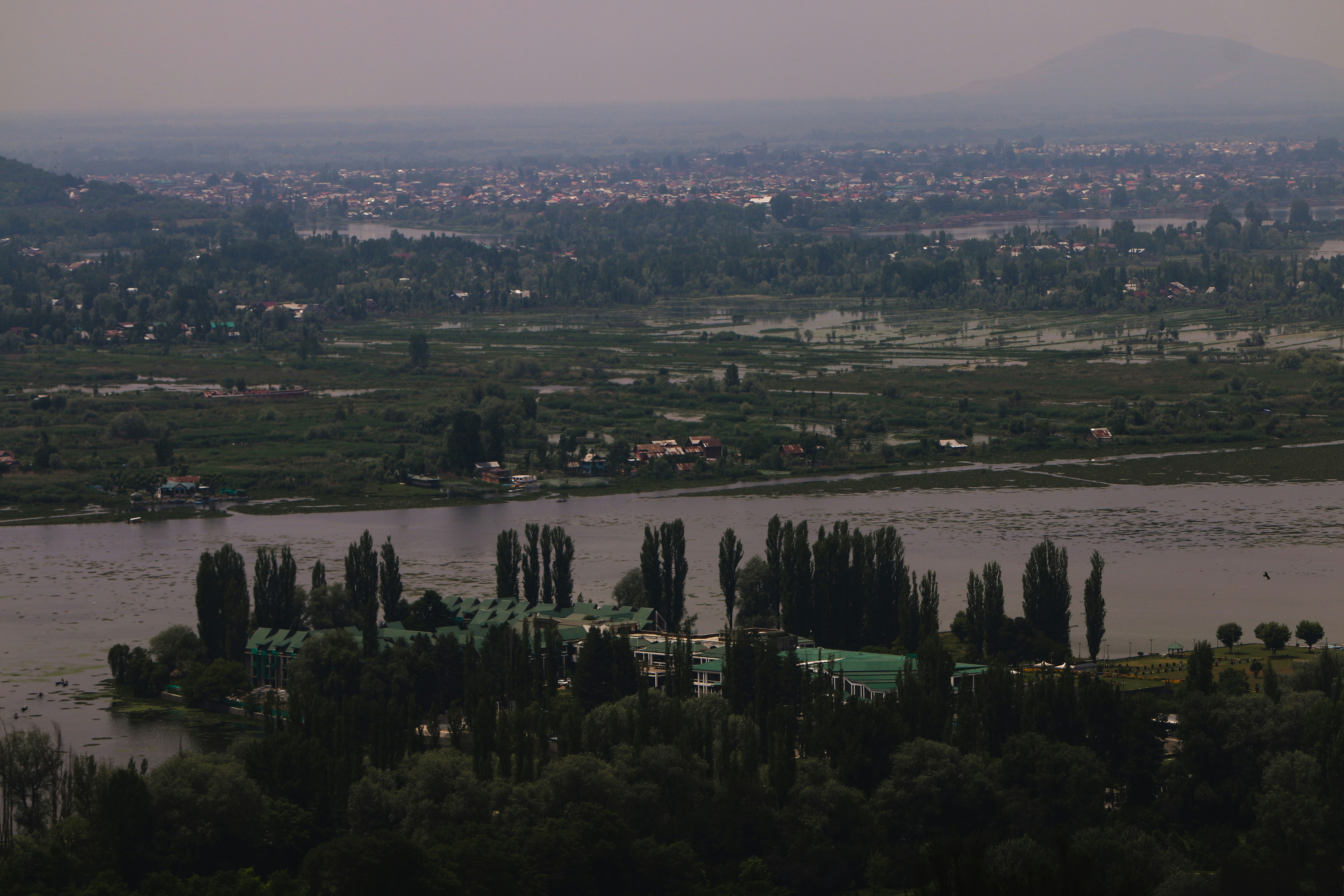 Photo by avansear