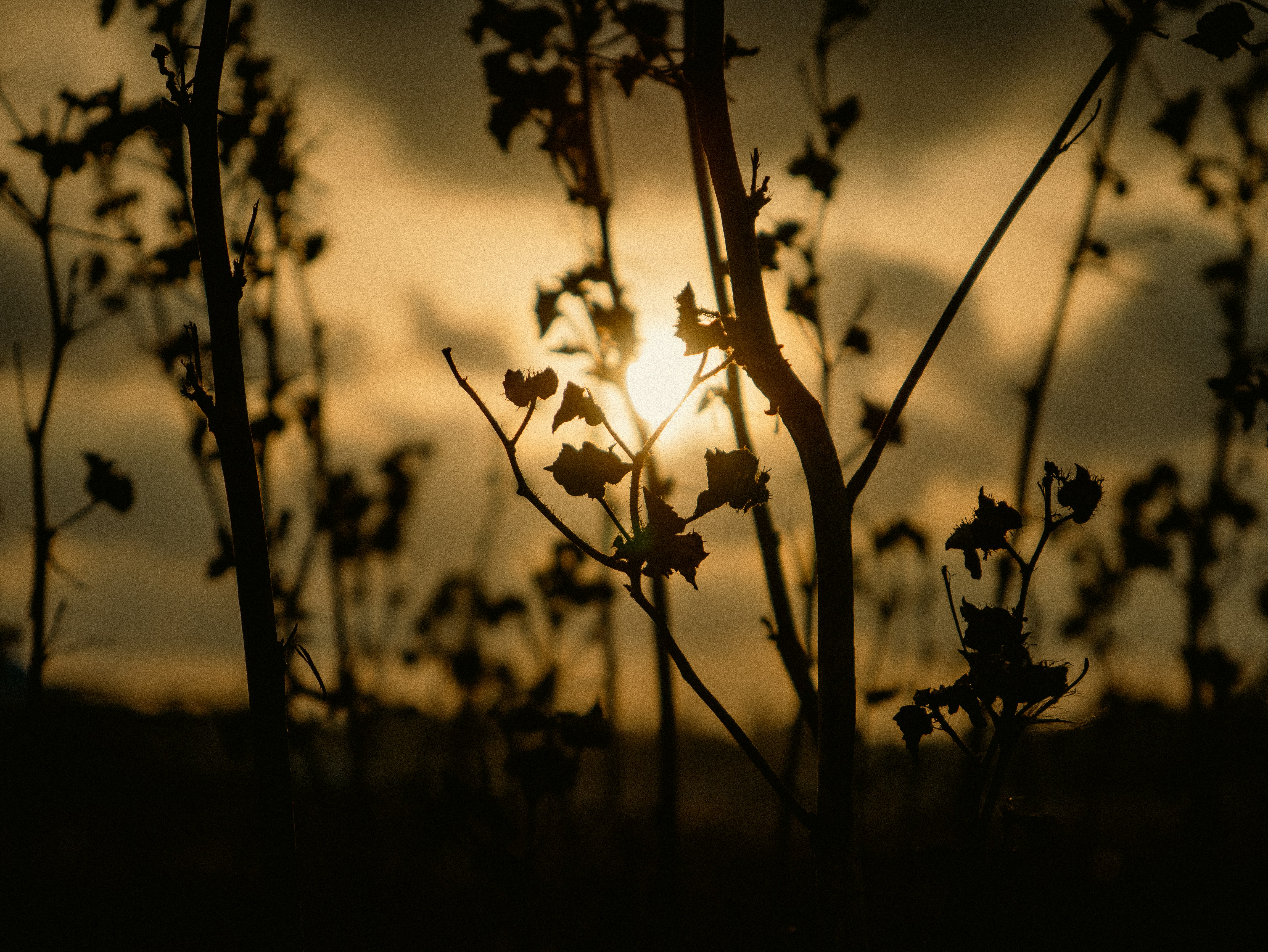Photo by atharvsawant_1one
