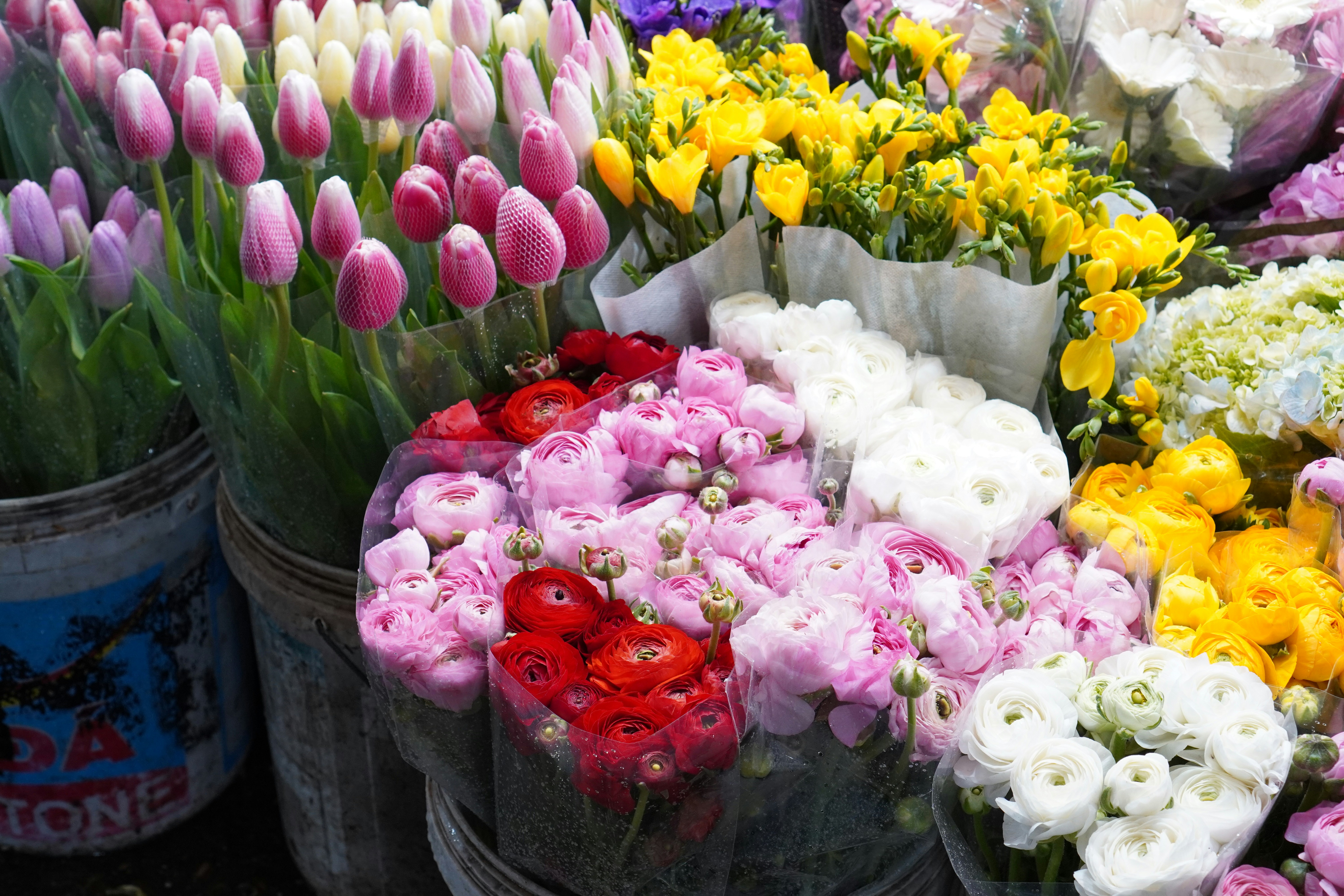 All Blooming Things