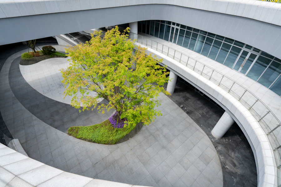 Modern courtyard with a green tree and curved pathways