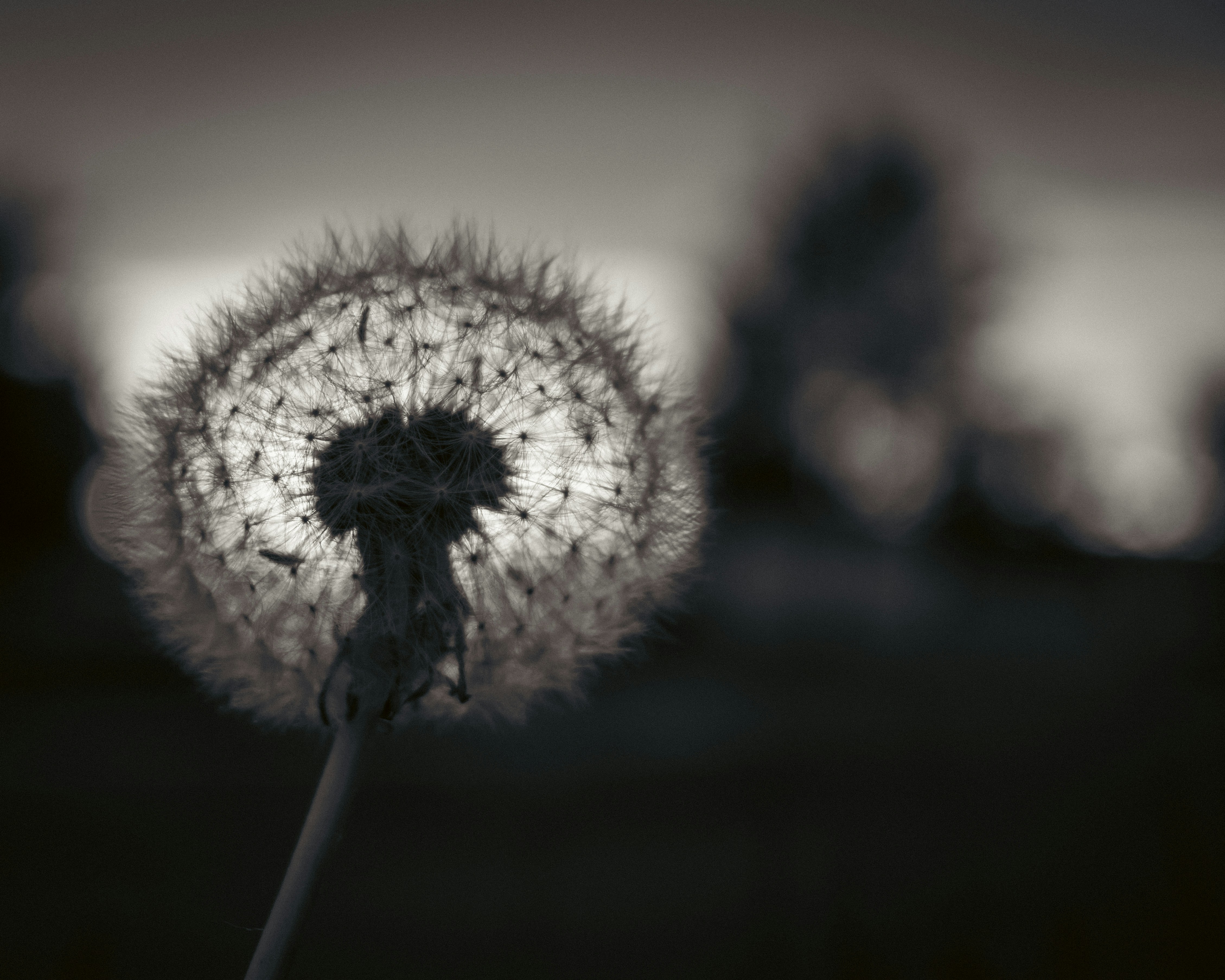 Photo by zihao_wang
