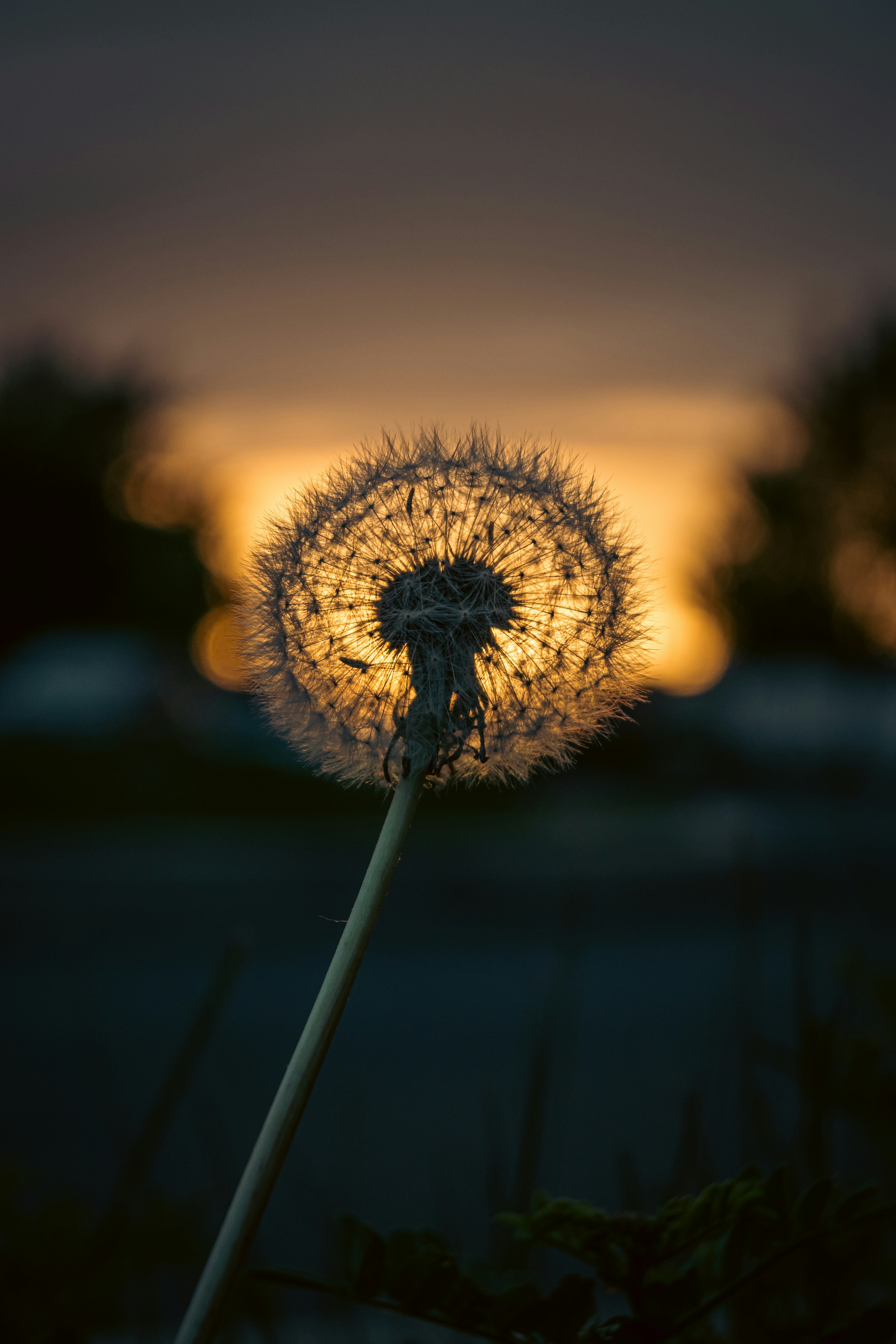 Photo by zihao_wang