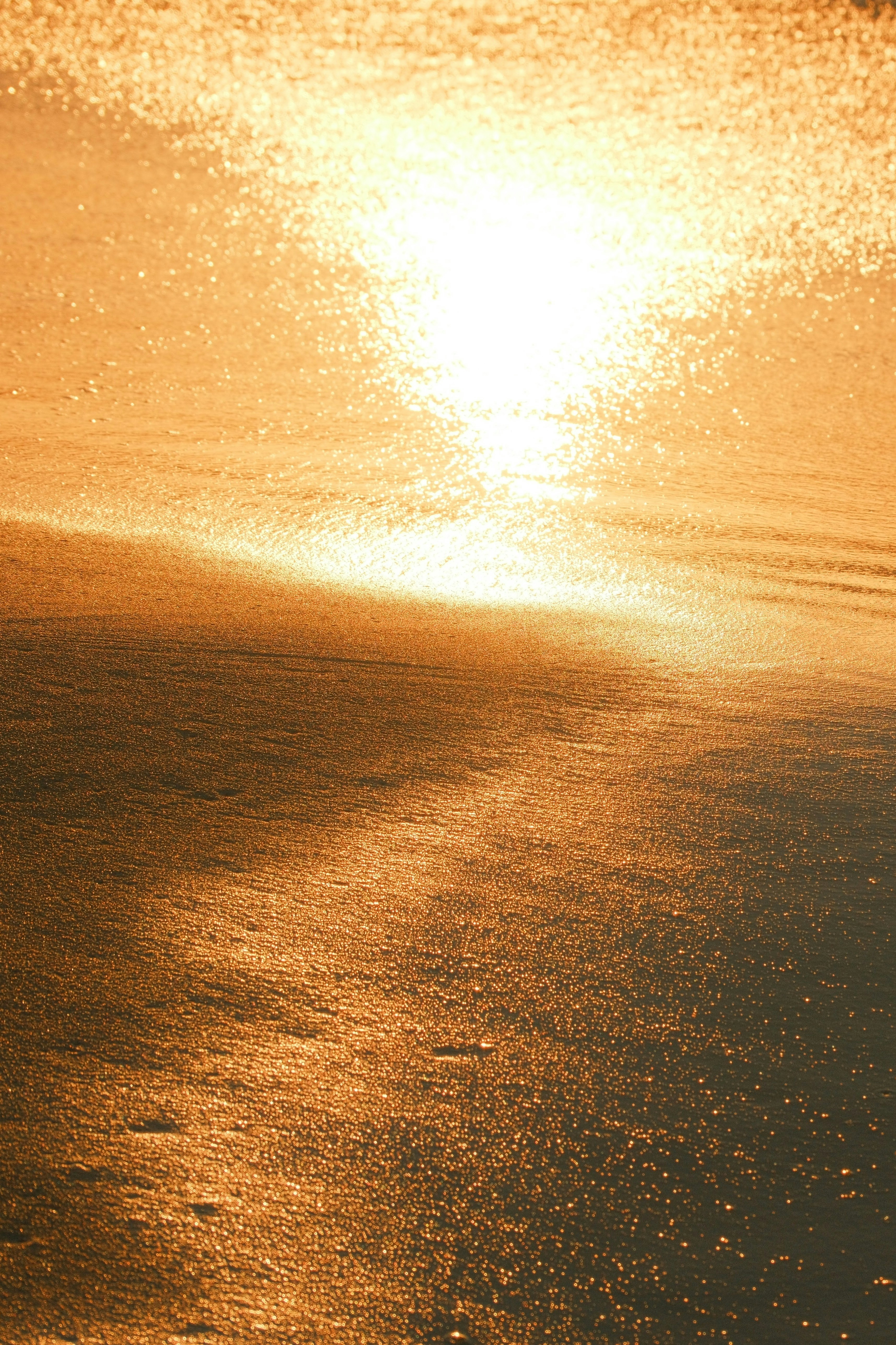 Golden sun reflection shimmers on the water's surface.