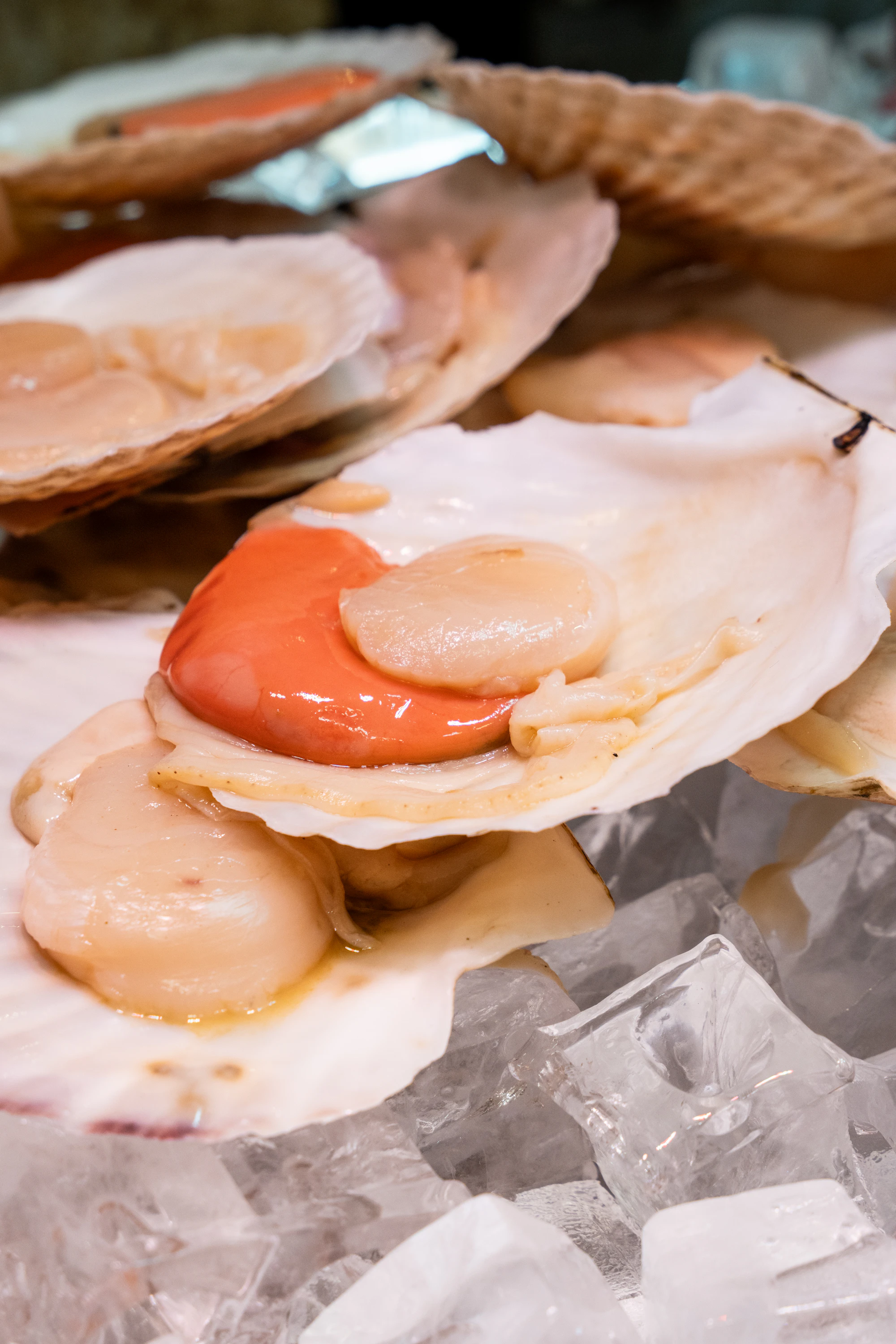 Oyster service on ice at Harbor Table