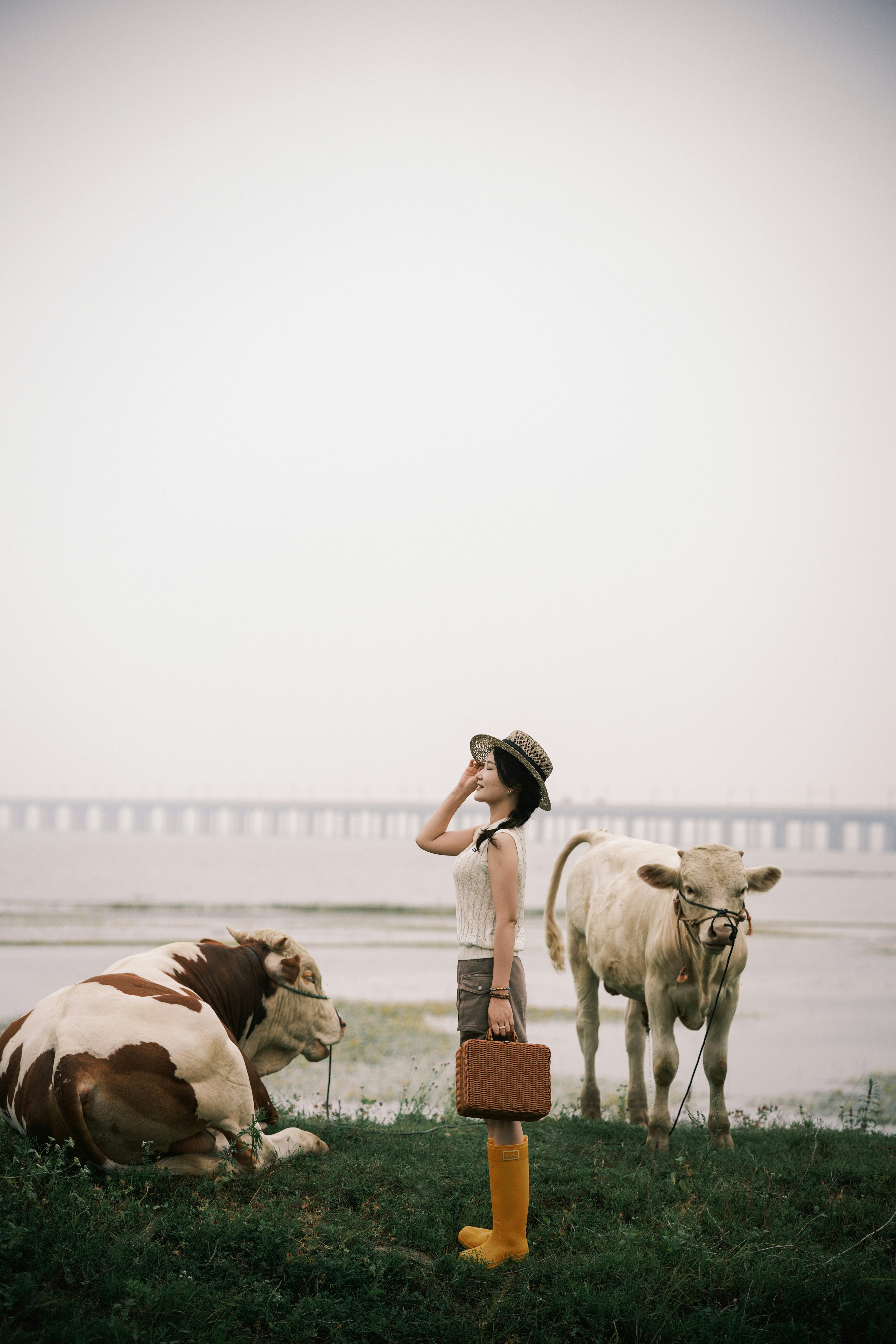 A woman with cows and a suitcase by the water.
