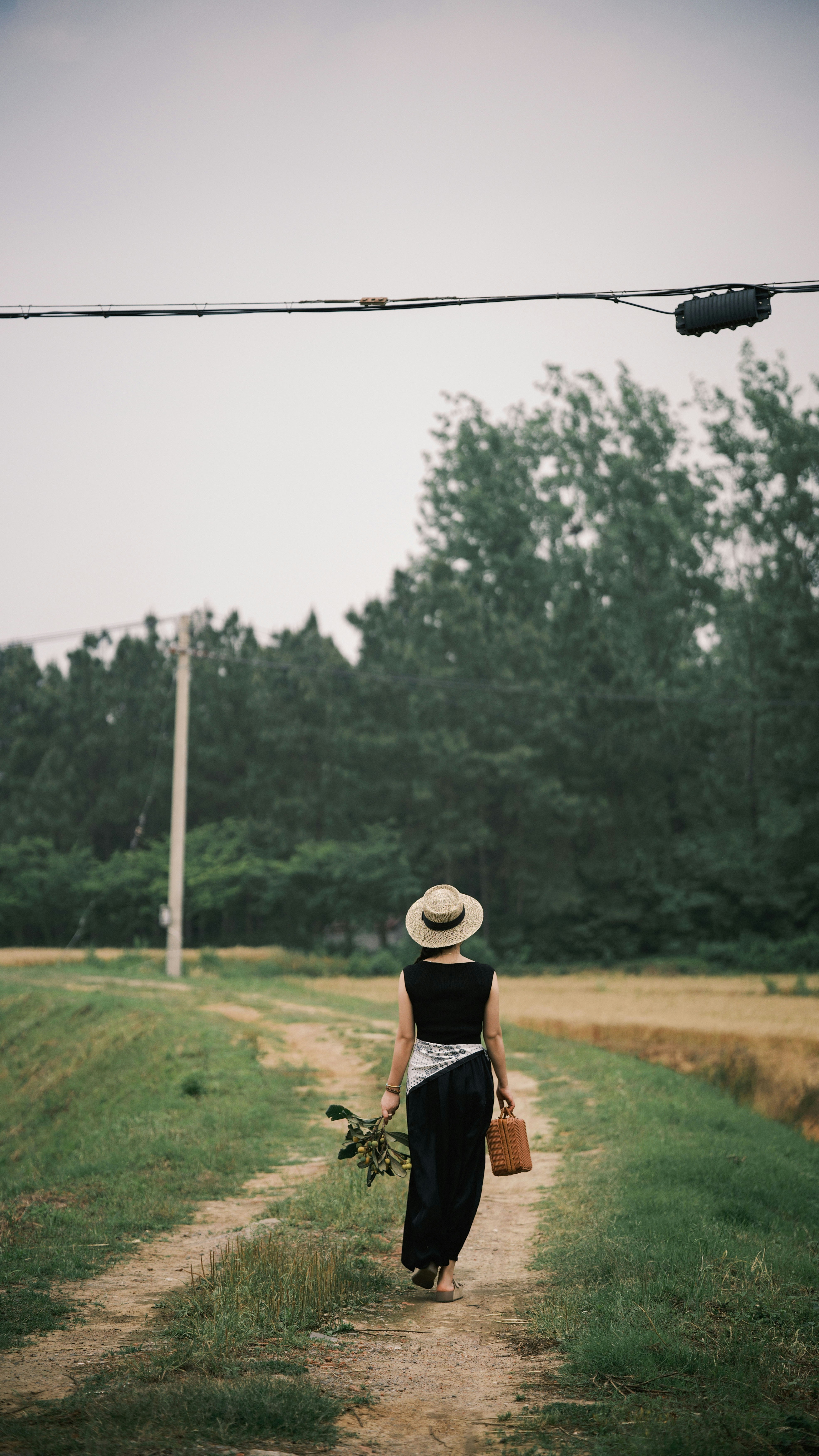 Photo by mrtiger