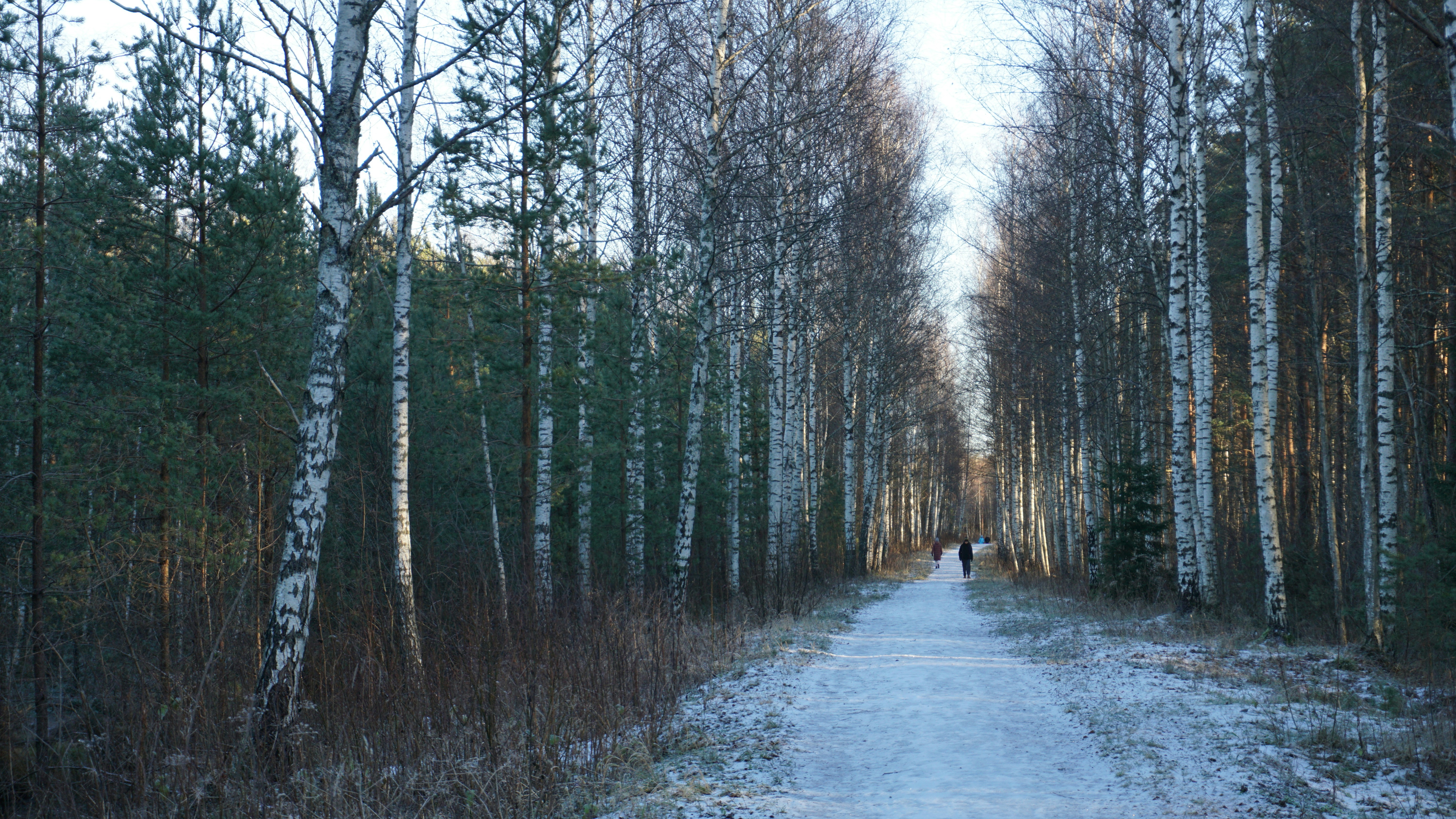 Rannamägi