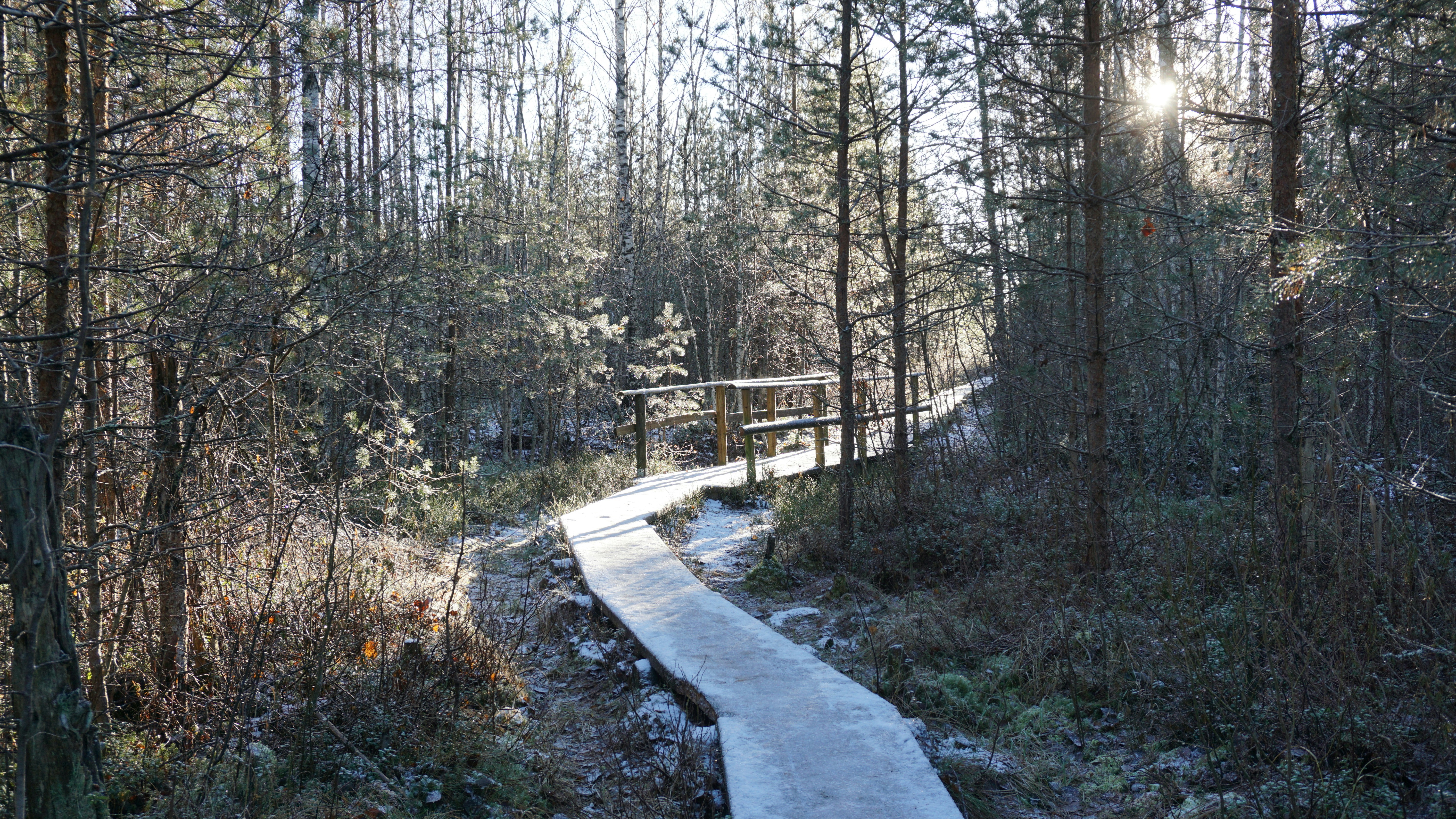 Photo by mareklumi
