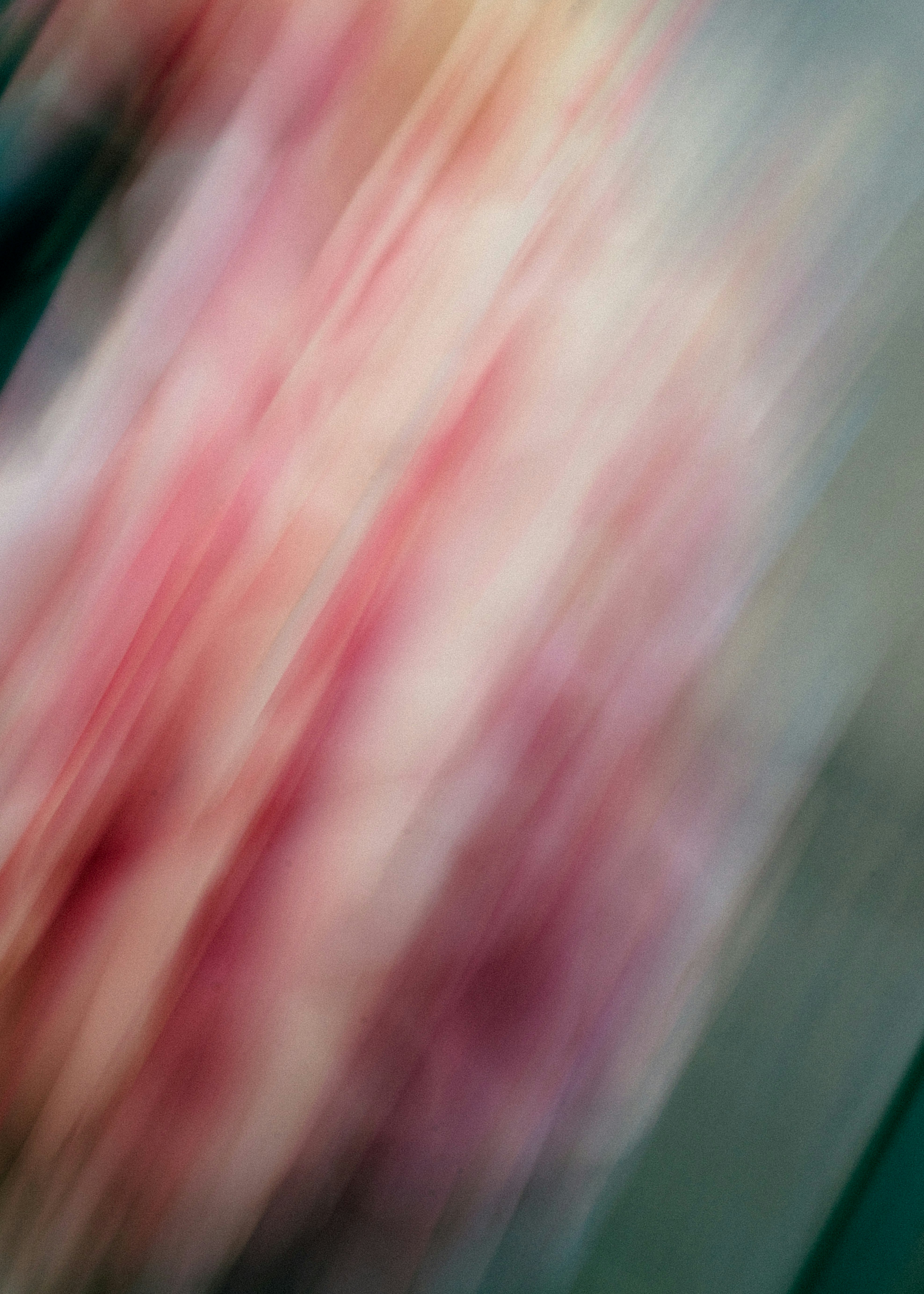 Abstract motion blur with pink, red, and white streaks. - 相关推荐