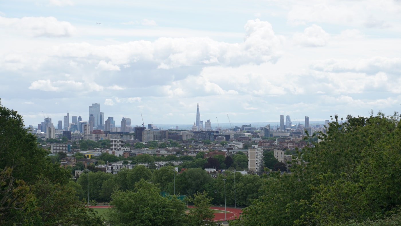 City skyline with trees in the foreground