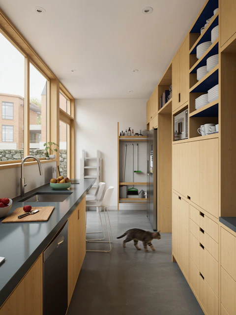 Modern kitchen with light wood cabinets, windows, and a cat.