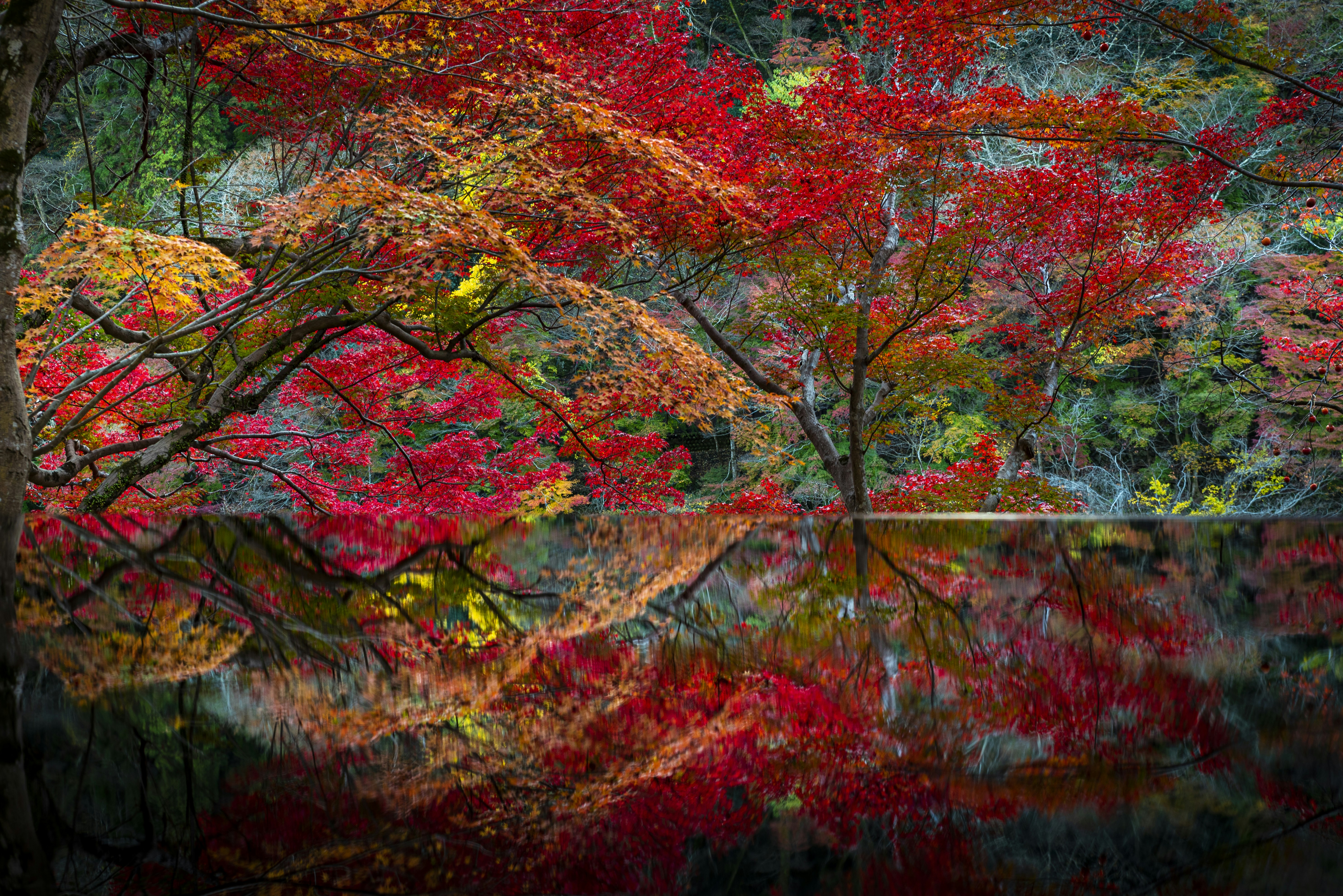 Photo by piuma1983