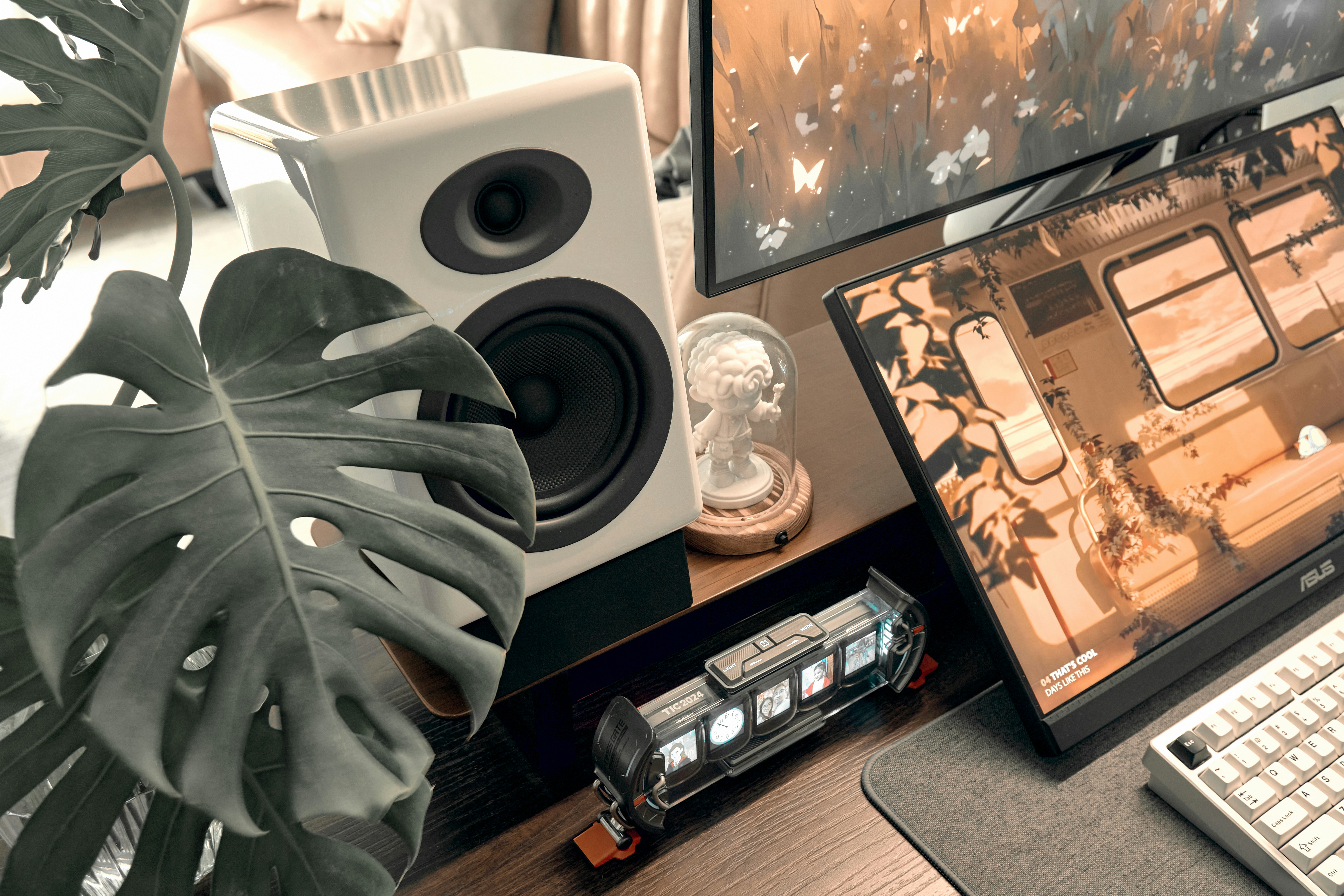 Monstera plant, white speaker, and computer monitors on a desk.