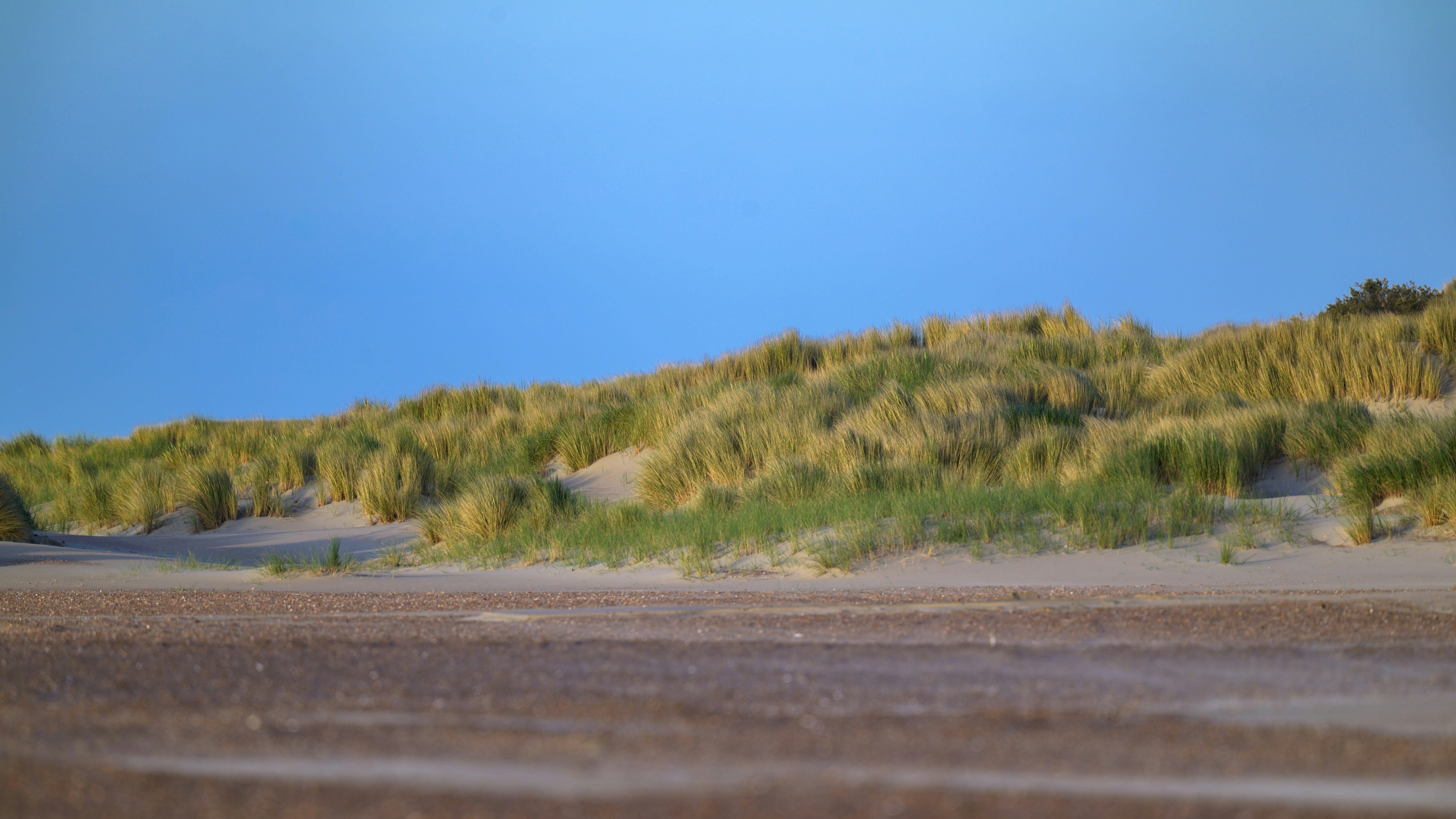 Sandy beach with grassy dunes under a clear blue sky
