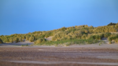 Renesse