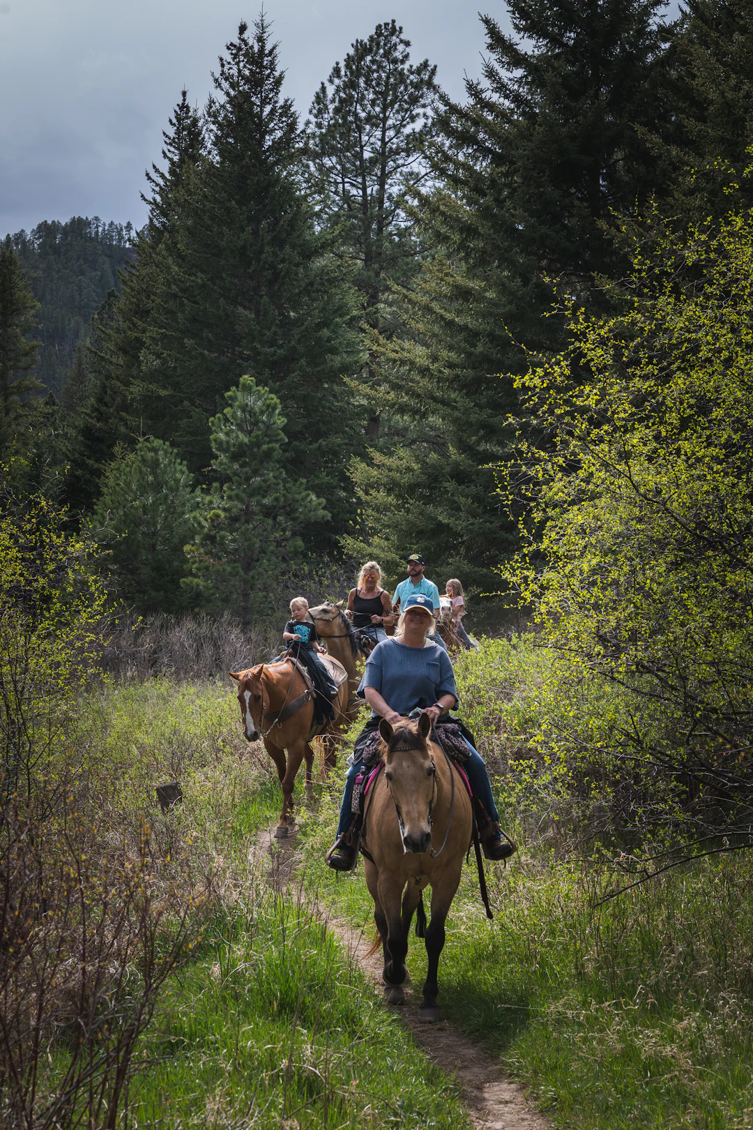 Horseback Trail Rides
