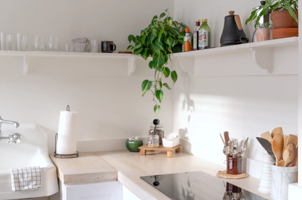 Bright organized kitchen with green plants