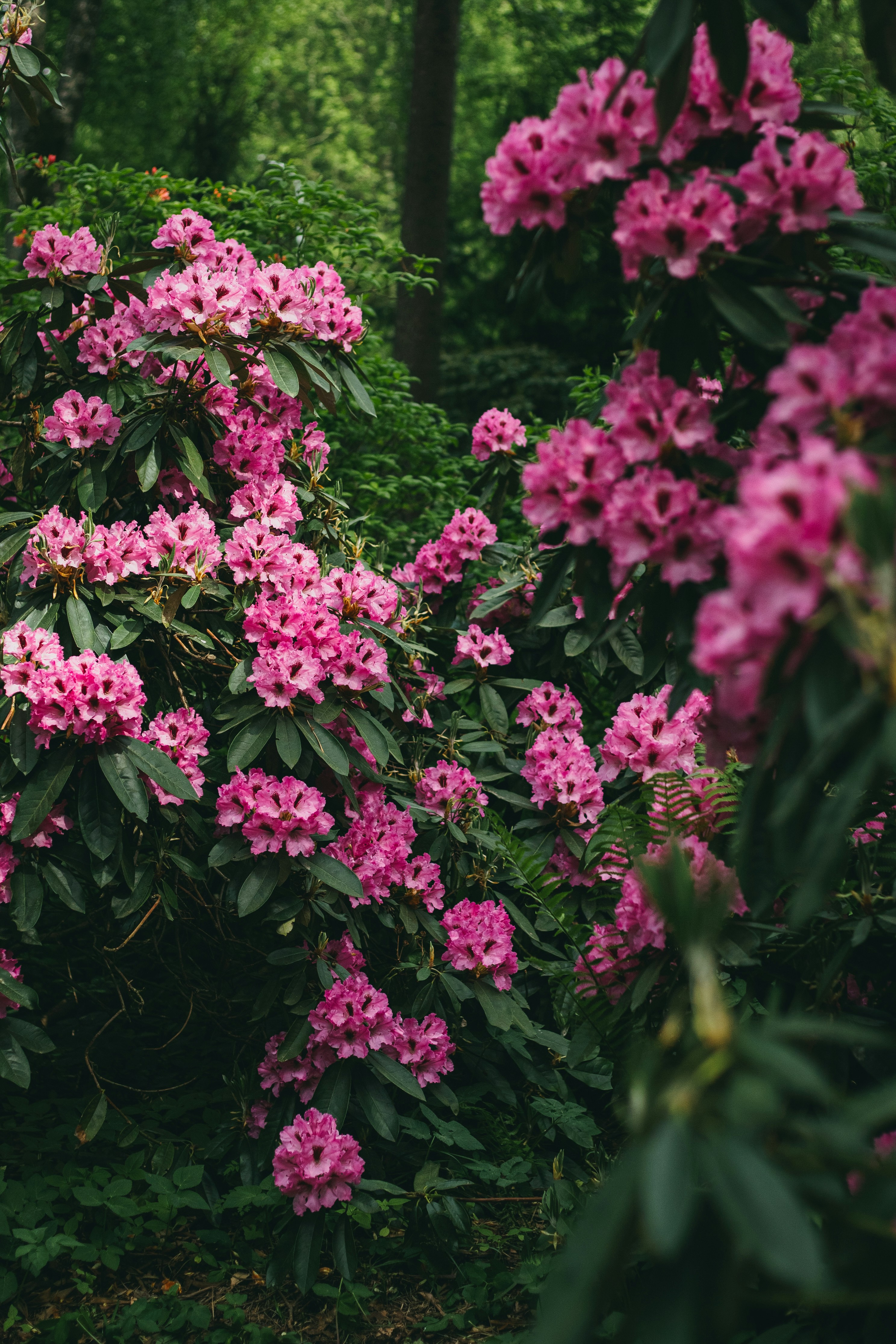 Photo by viikster