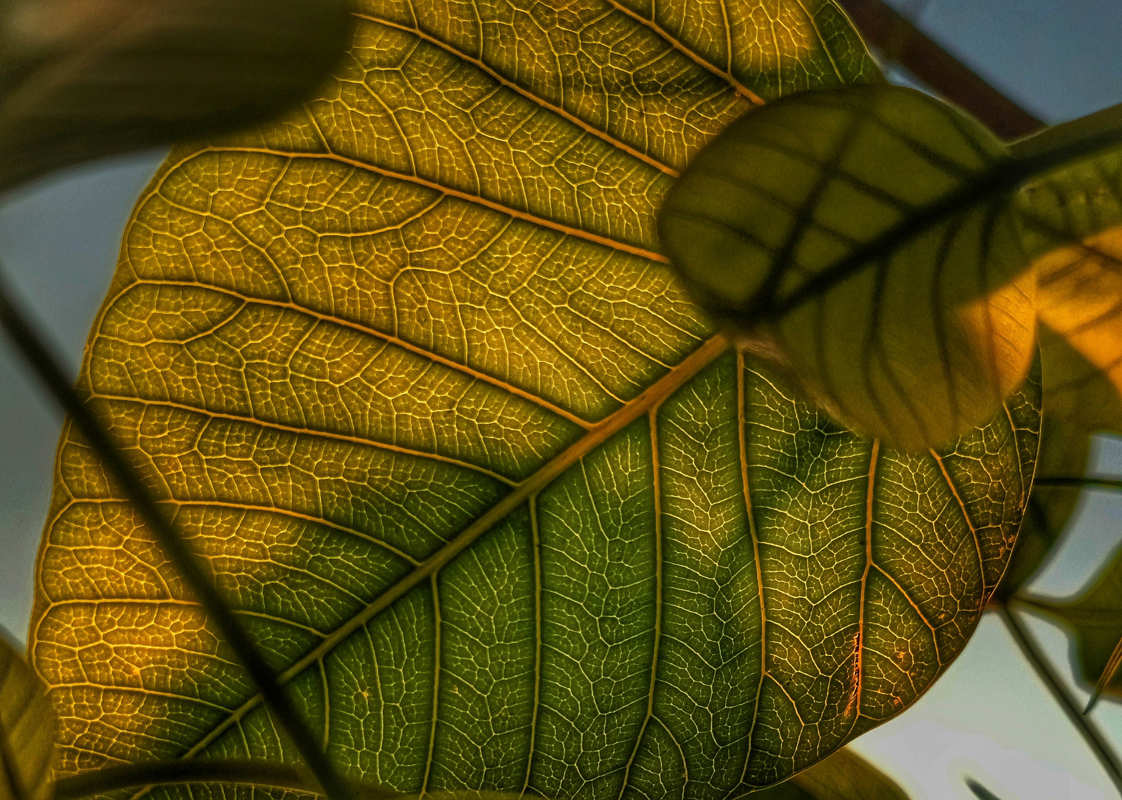 Photo by lightcamact