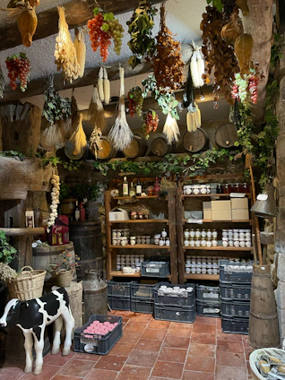 Rustic cellar with hanging produce and shelves of goods