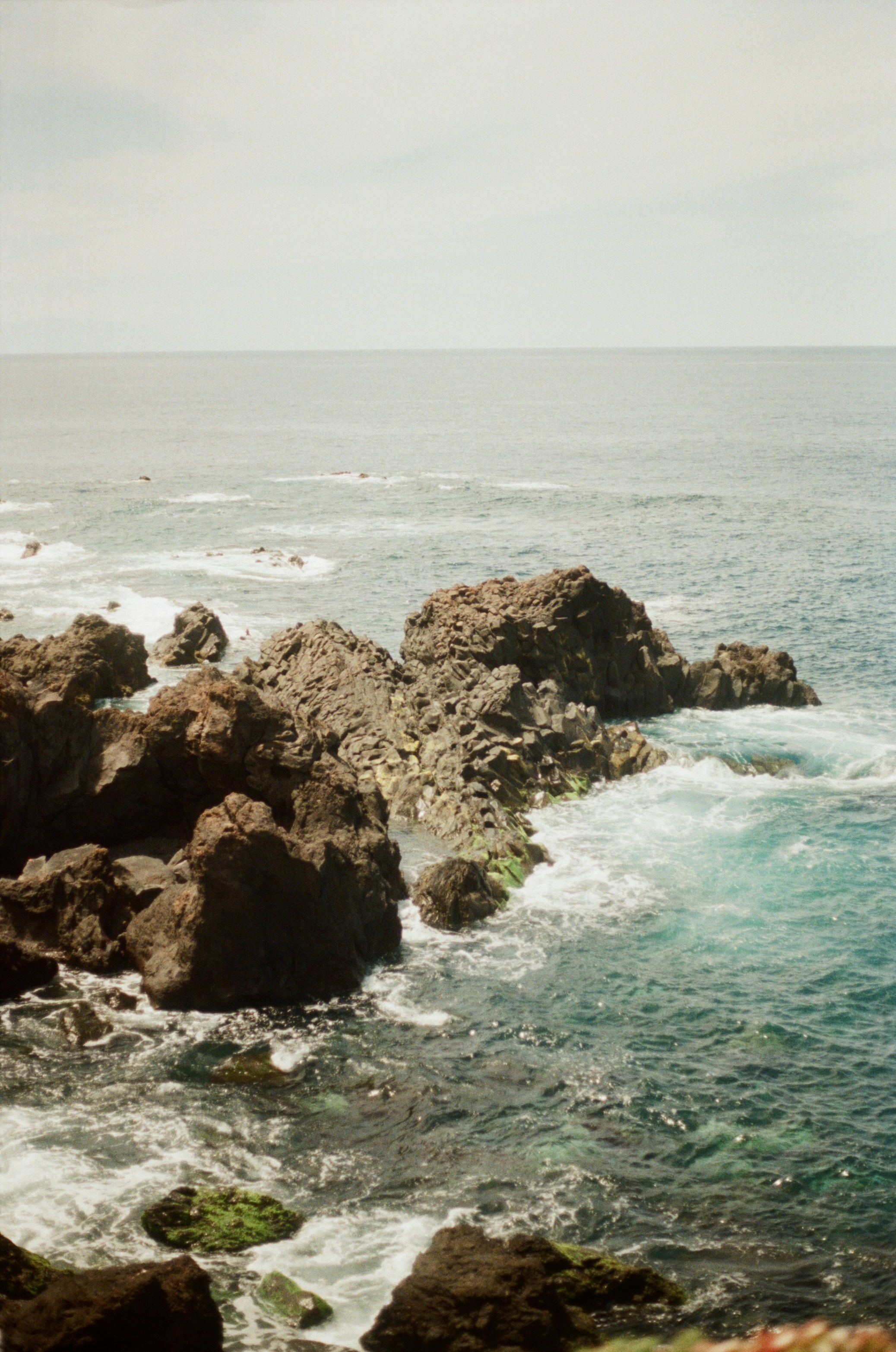 Photo by babikacharava