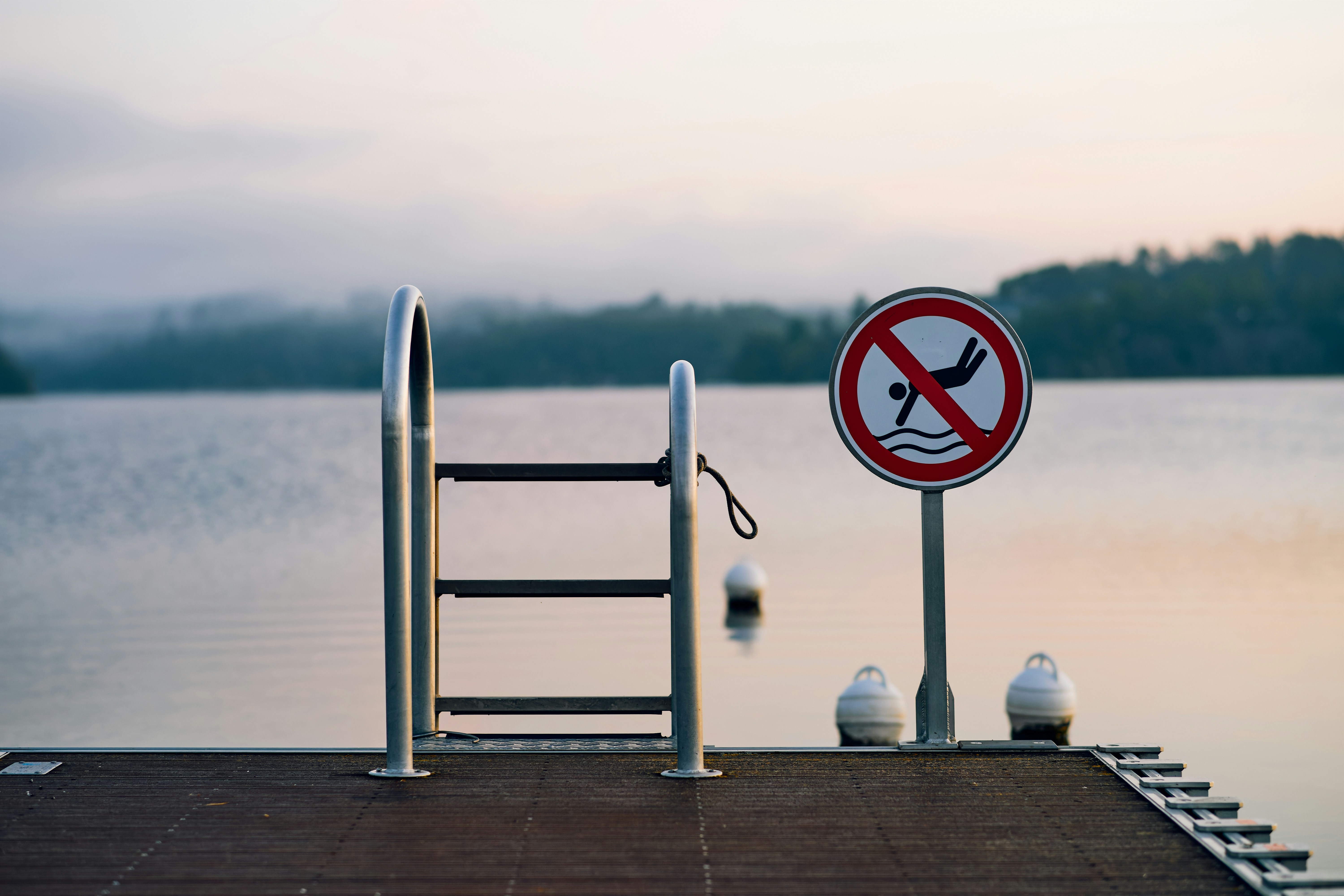 No diving sign on a dock by a calm lake.