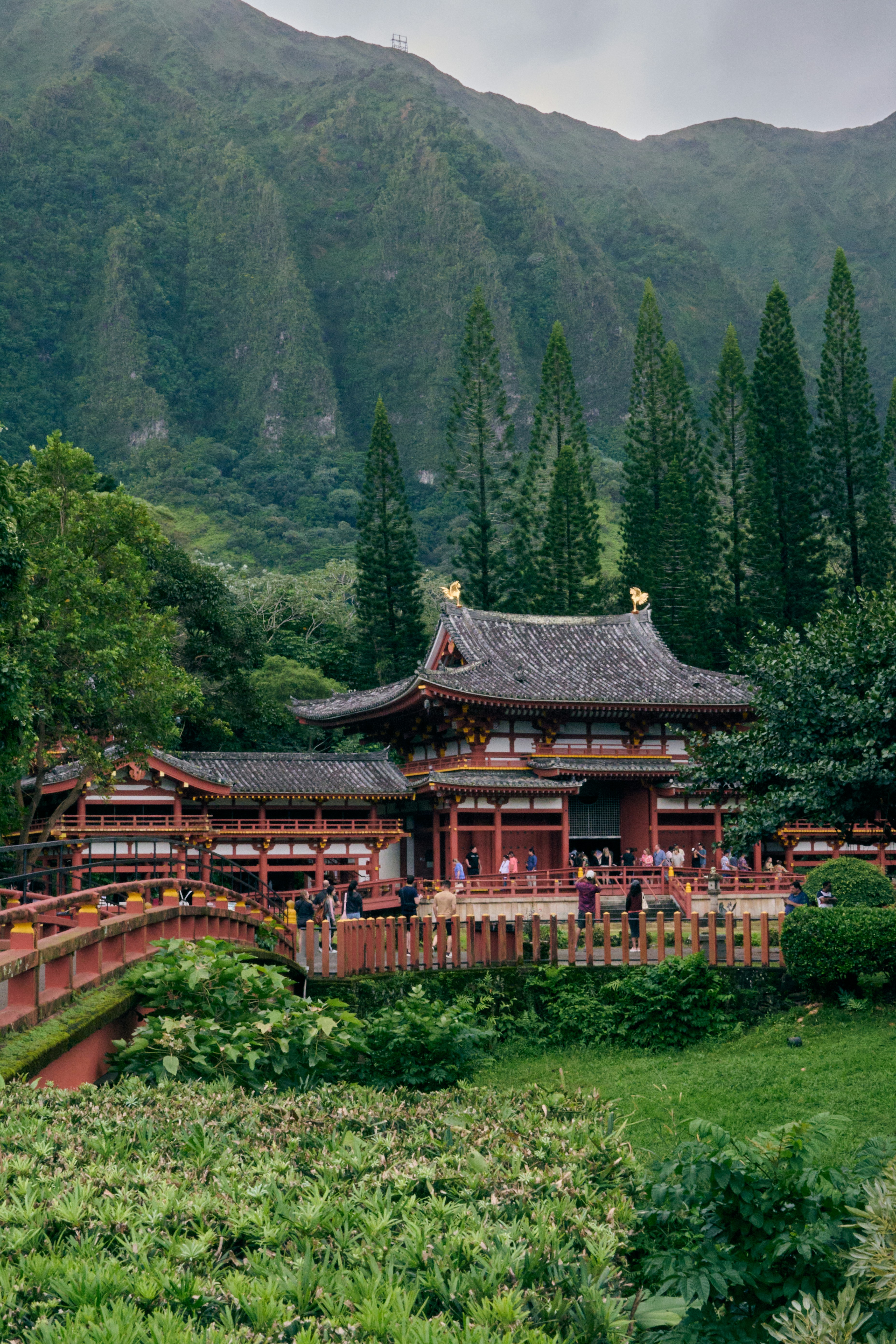 Photo by ghzhang