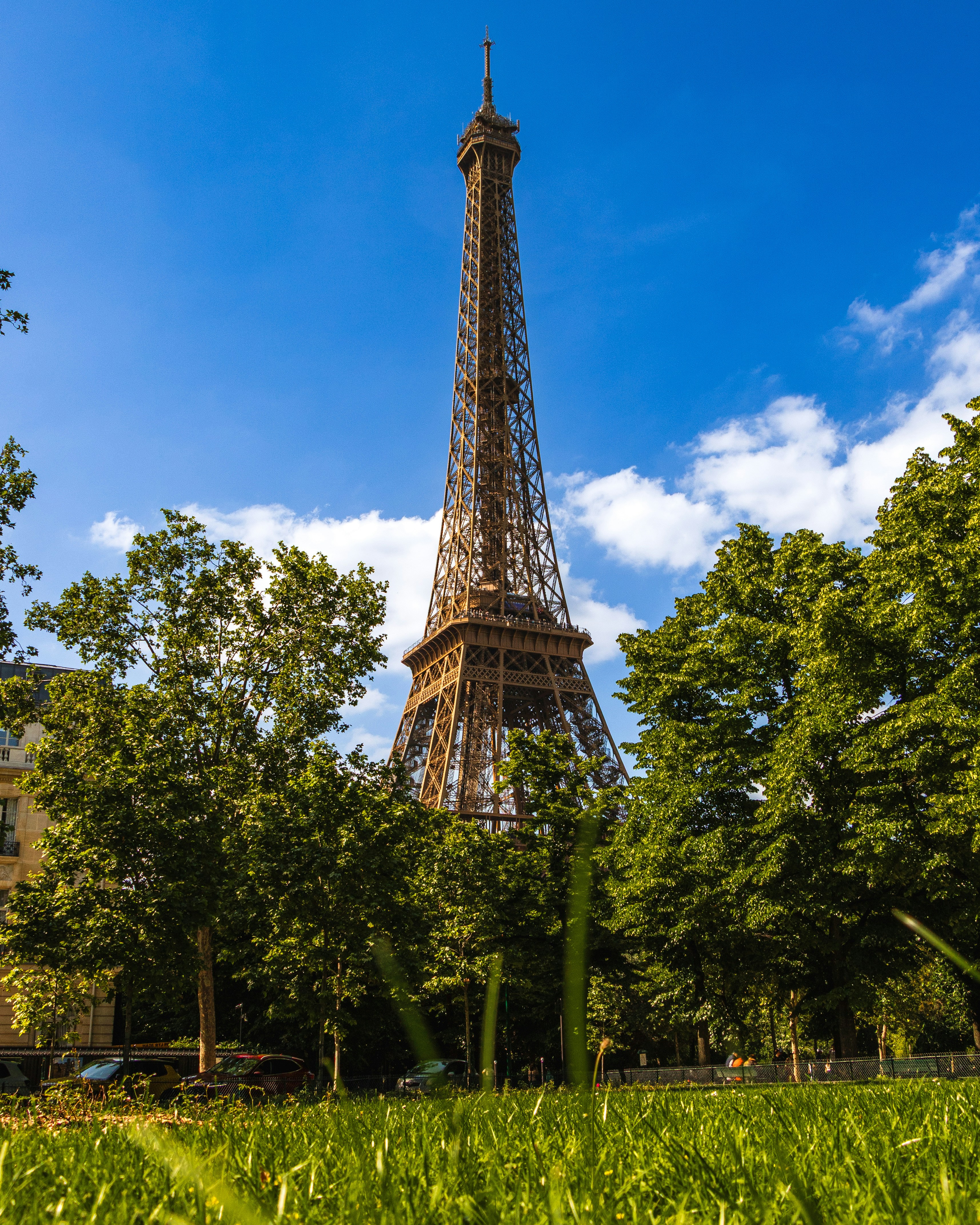 La Torre Eiffel se eleva sobre árboles verdes y hierba.