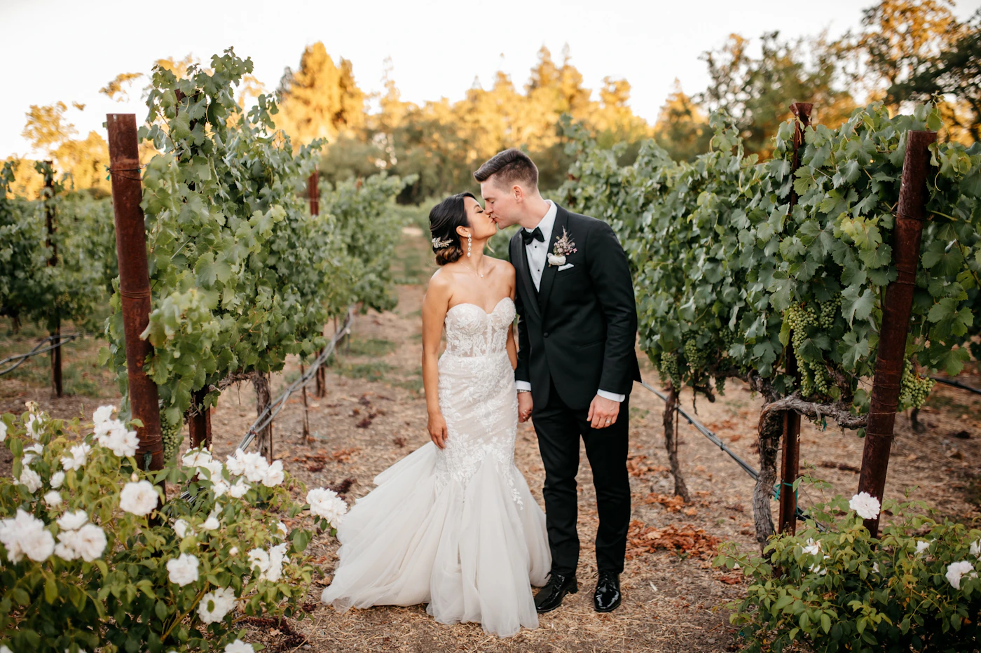 Bride and groom sharing a kiss in a vineyard with white blossoms