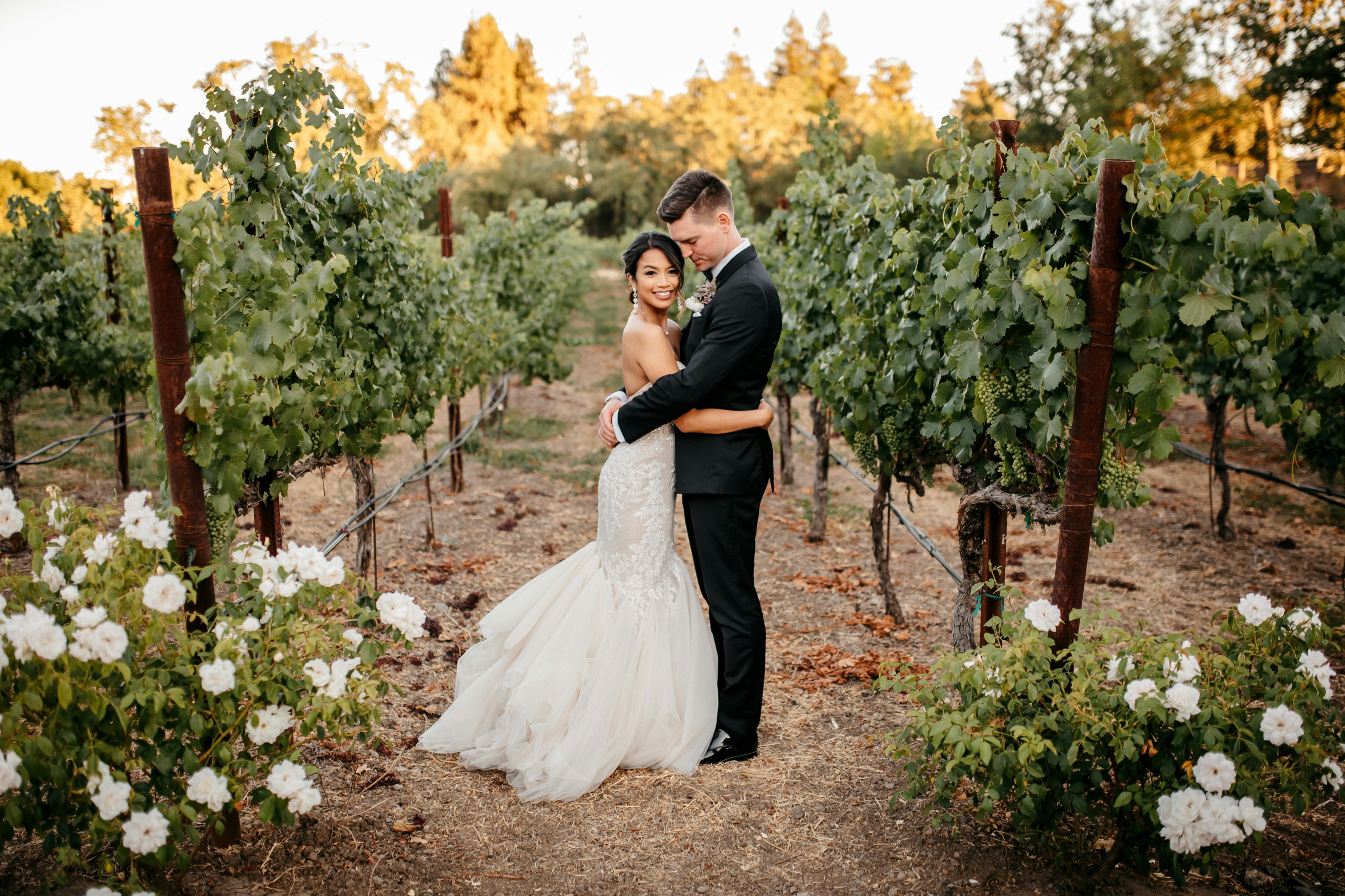 A bride and groom embrace in a beautiful vineyard.