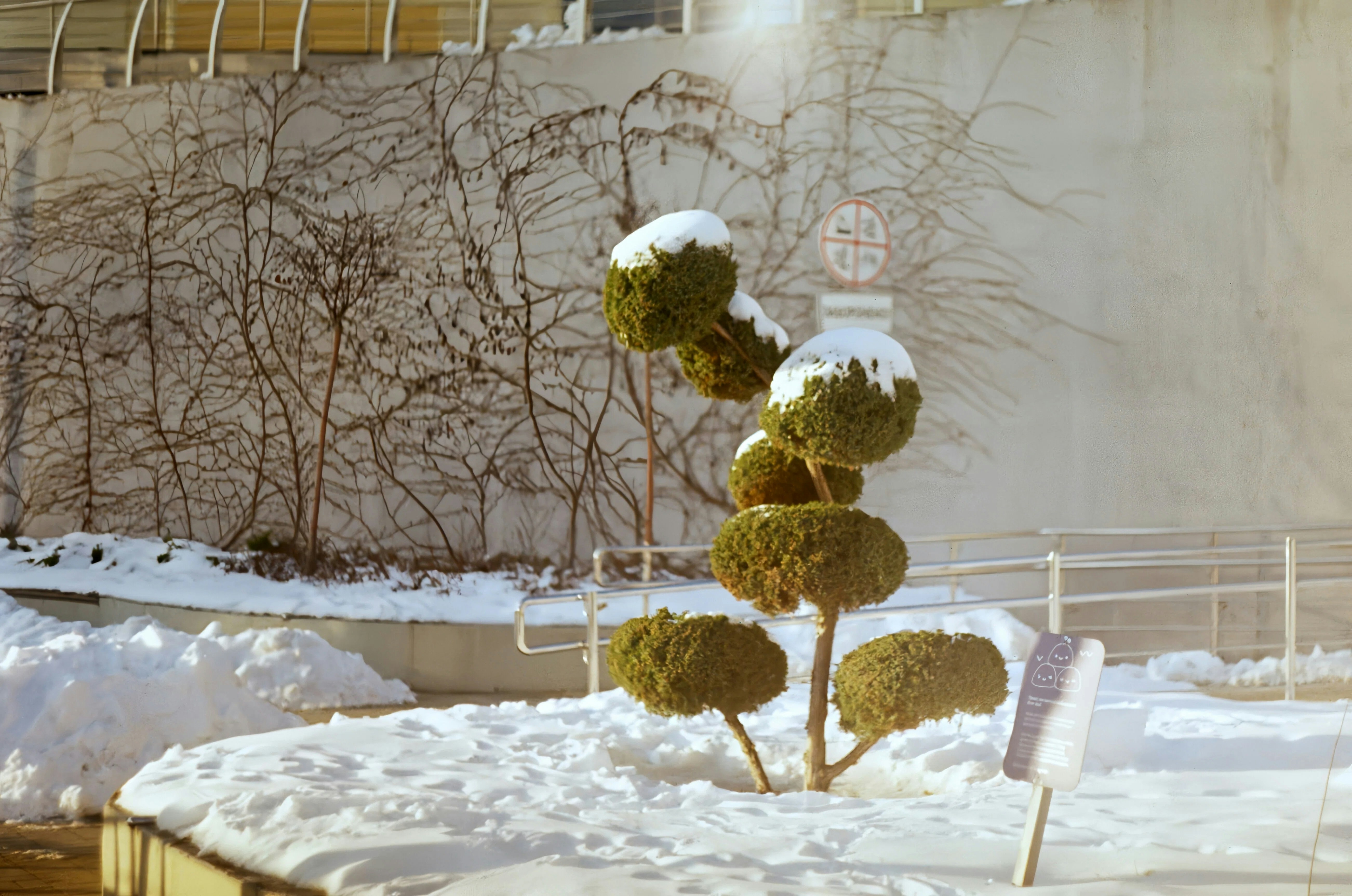 Eine schneebedeckte Formschnittspflanze in einer Winterlandschaft.