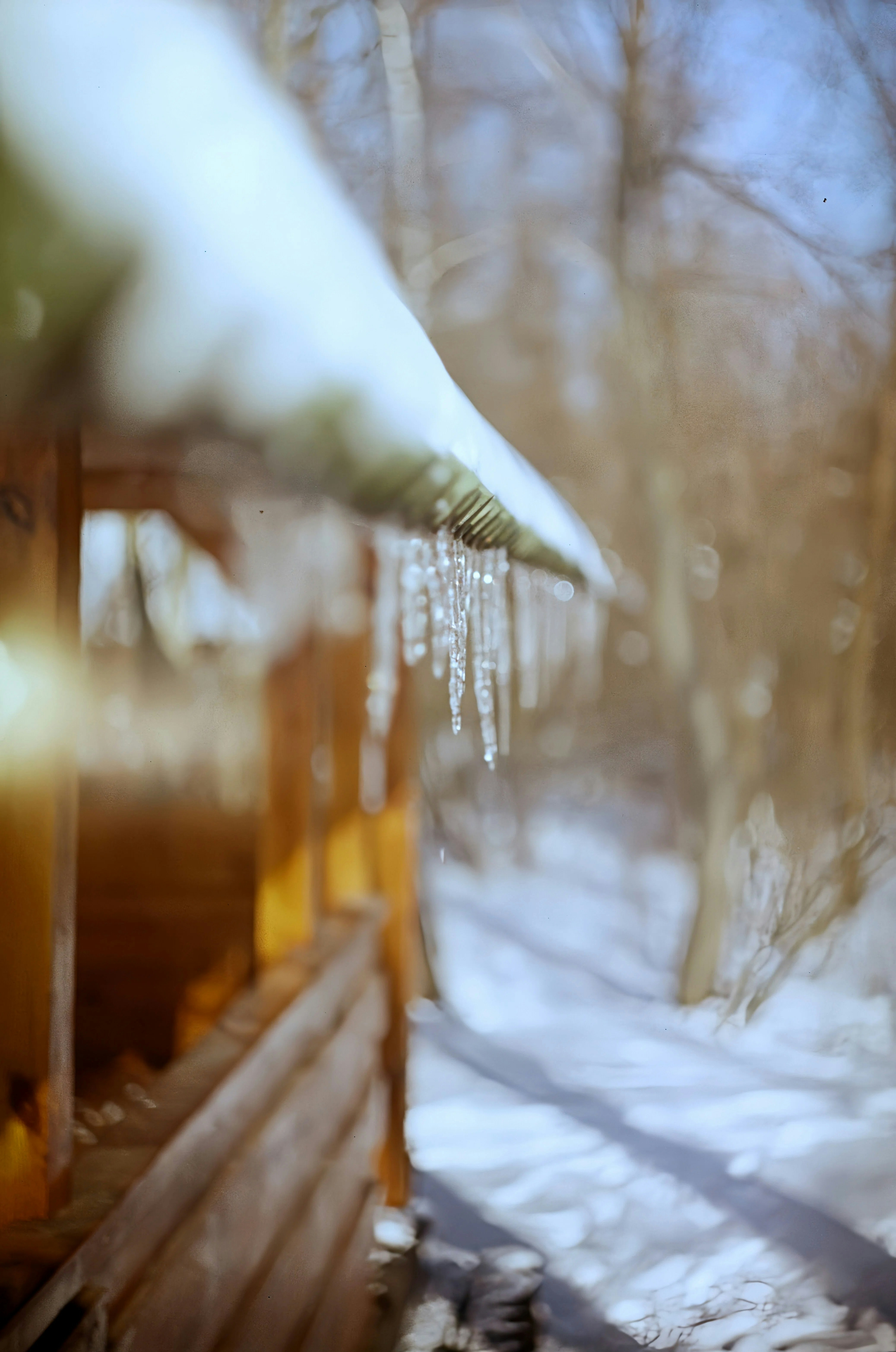 Eiszapfen glitzern auf einem schneebedeckten Dach über einer Holzkonstruktion.