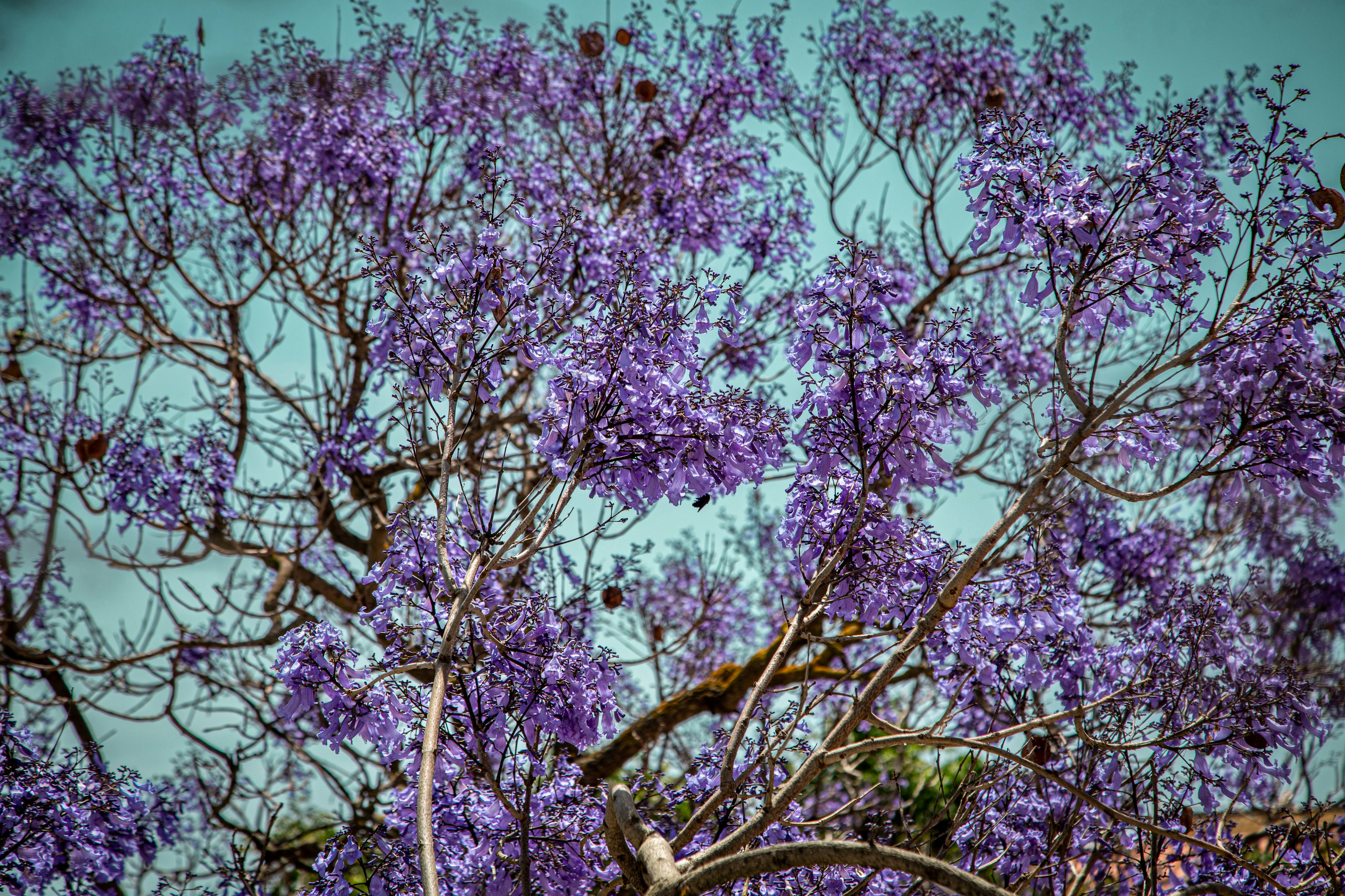 Photo by hdbernd