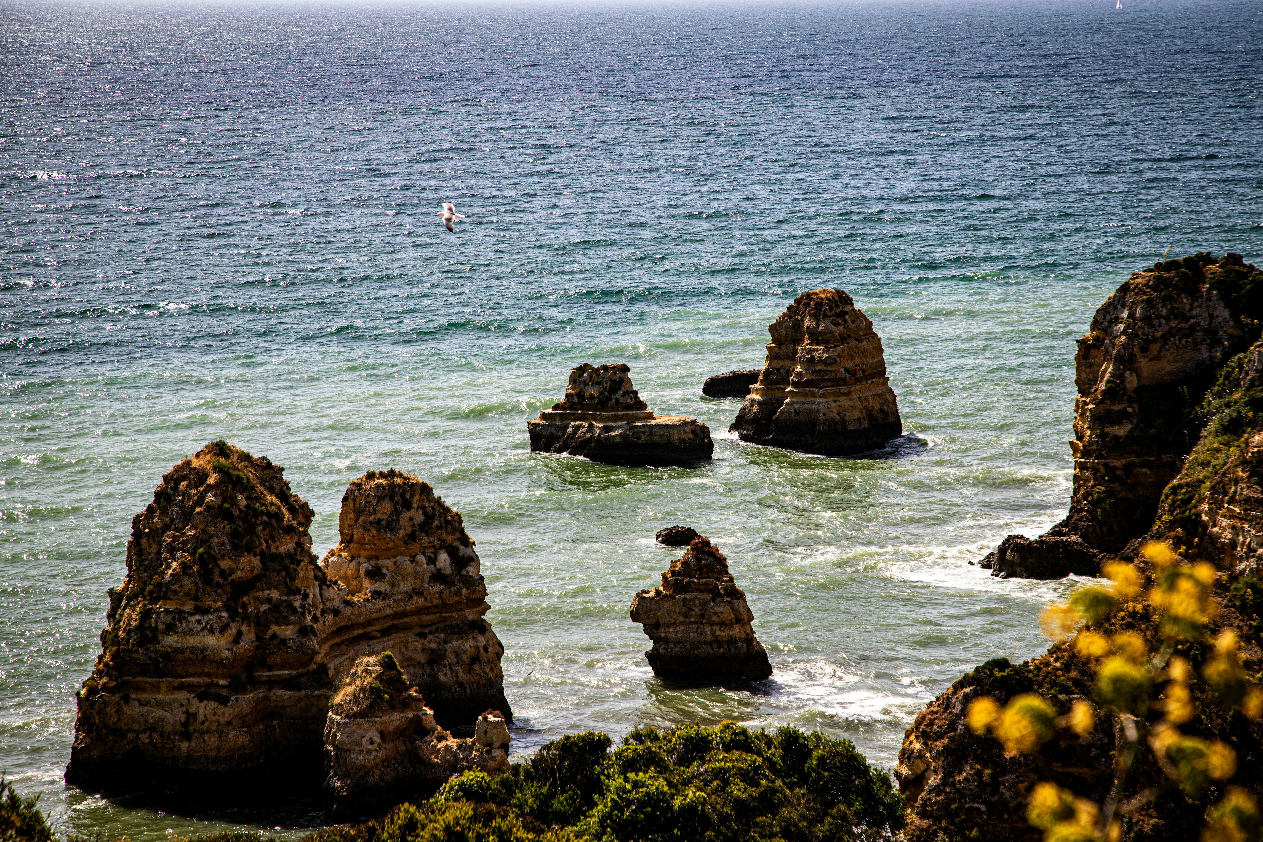 Photo by hdbernd