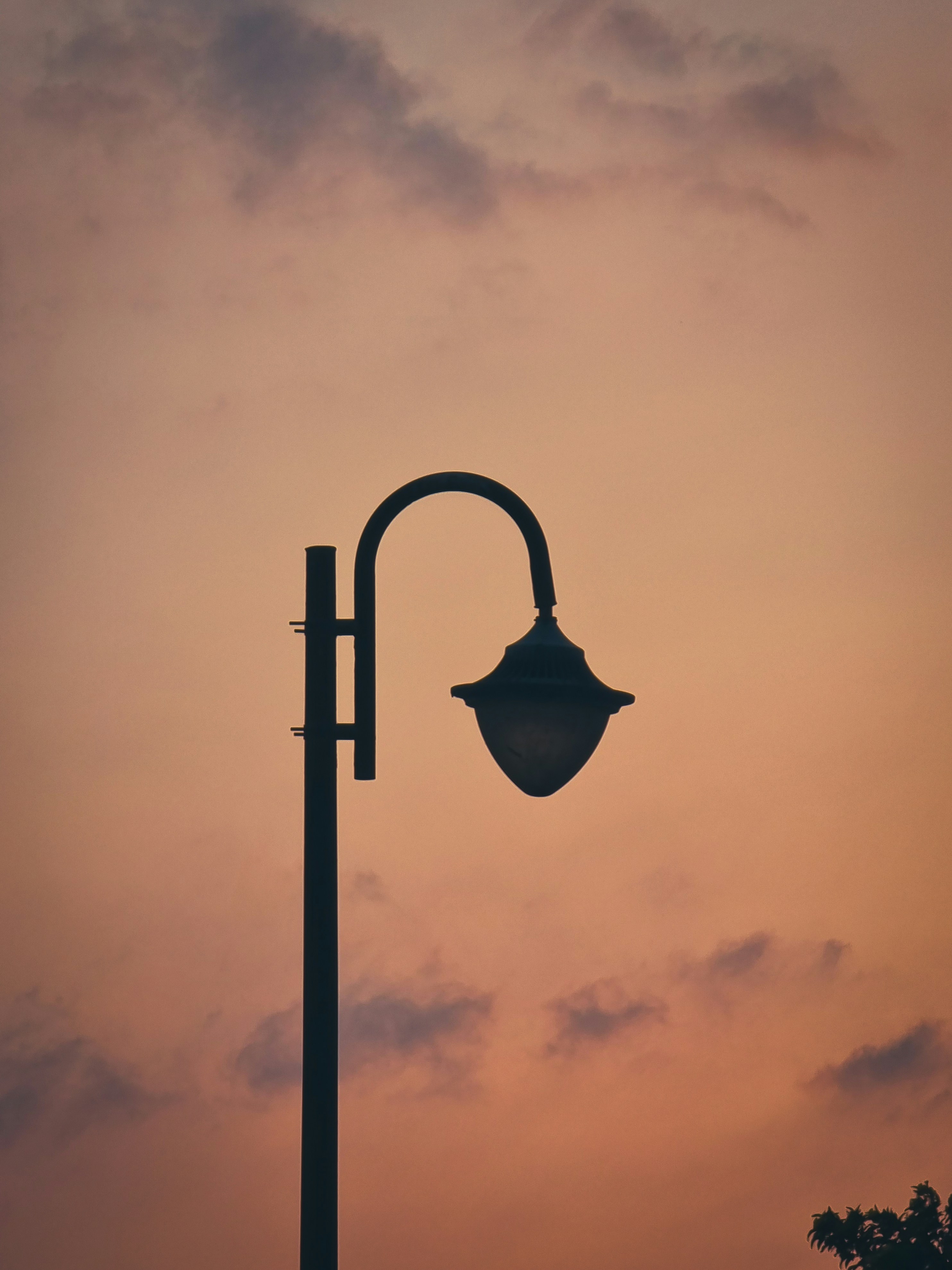 Photo by ahmedatef19